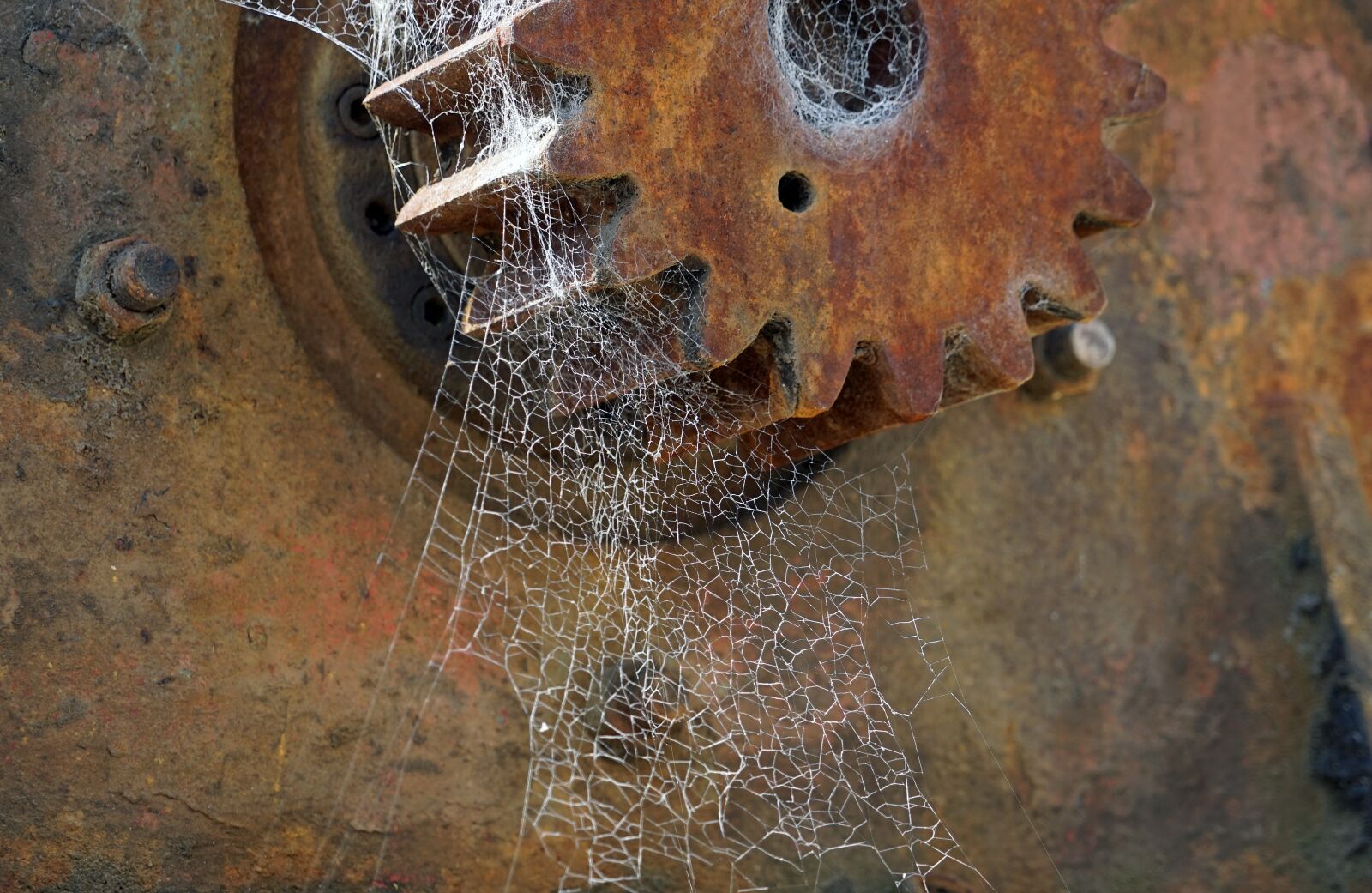 Sony a7 + Sony FE 24-240mm F3.5-6.3 OSS sample photo. Cobweb, spider webs, rust photography