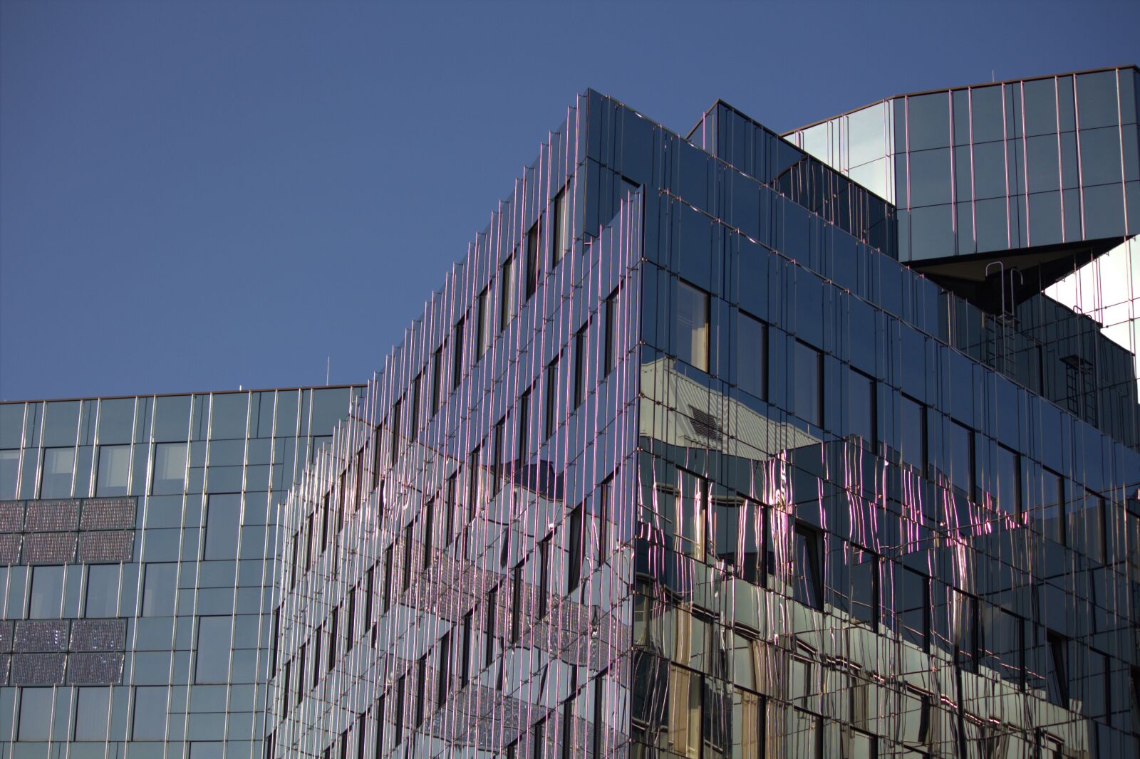 Canon EOS 550D (EOS Rebel T2i / EOS Kiss X4) sample photo. Architecture, berlin, office photography