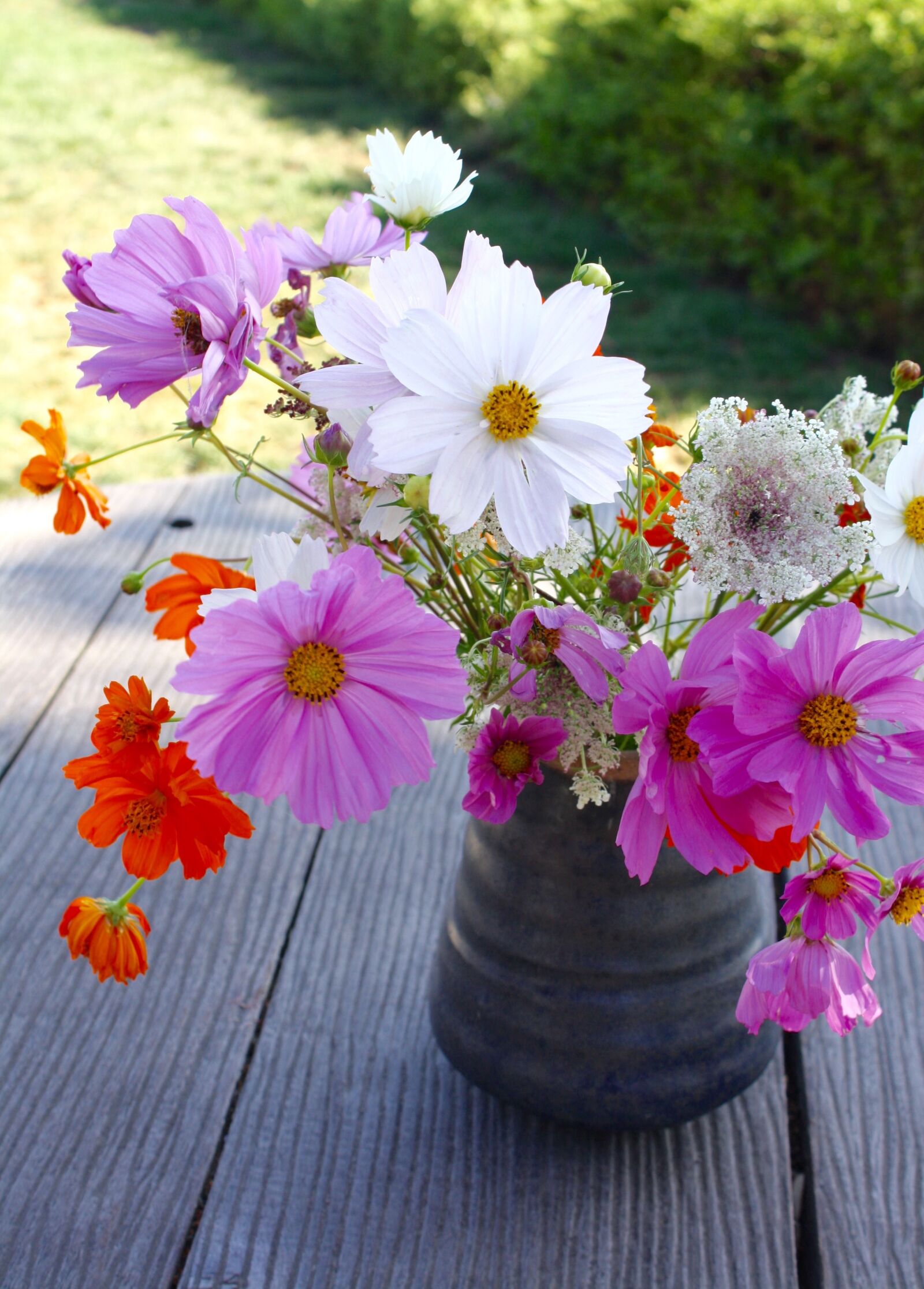 Canon EOS 1000D (EOS Digital Rebel XS / EOS Kiss F) sample photo. Flower, nature, floral photography