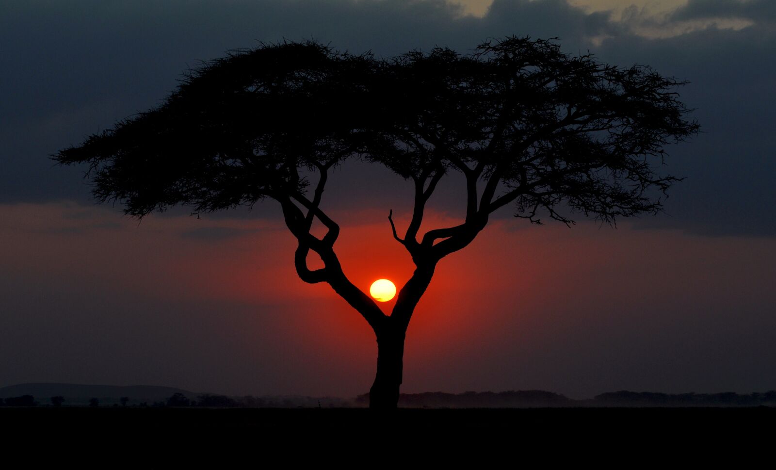 Nikon D5000 sample photo. Kenya, sunset, africa photography