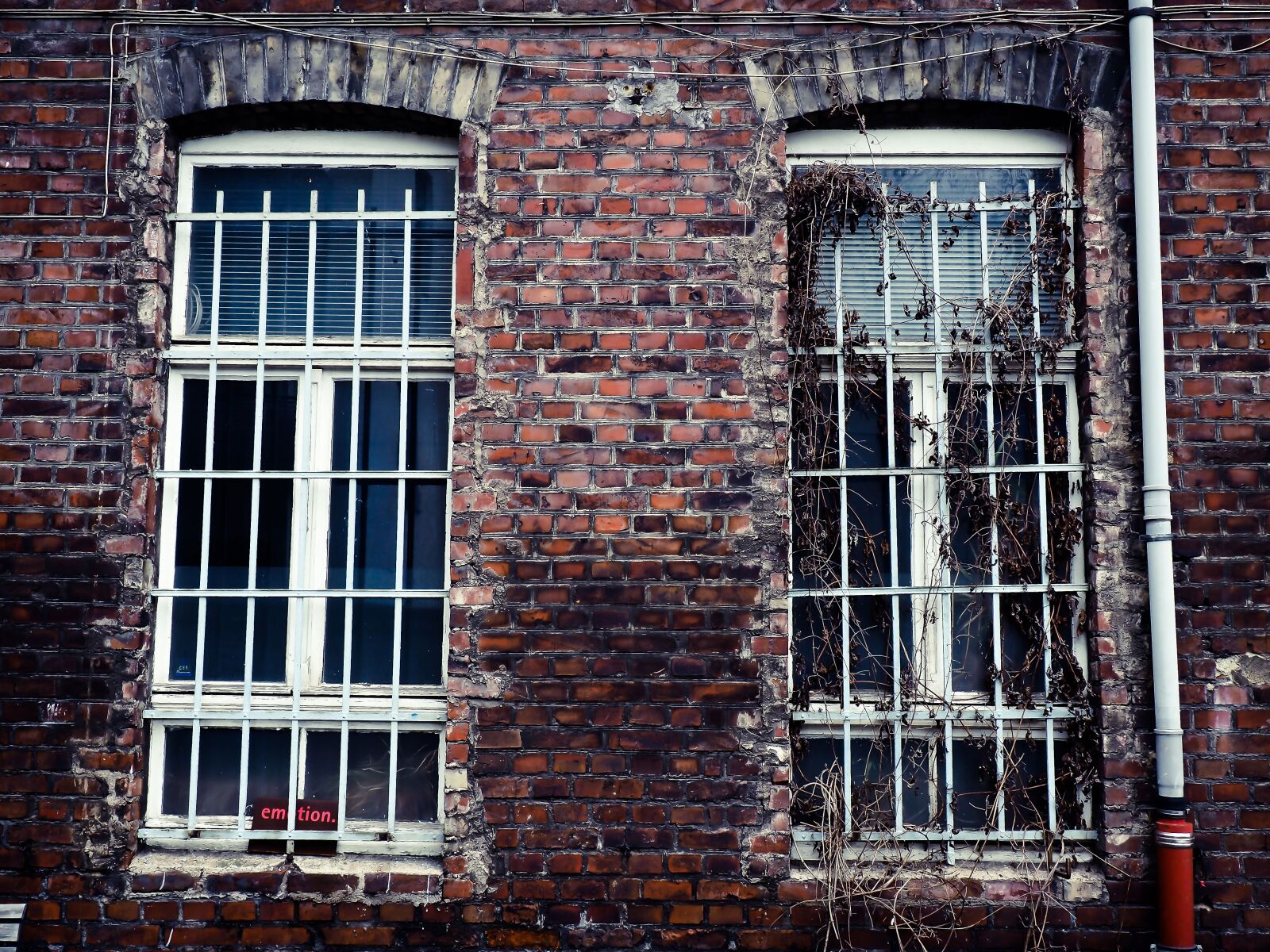 Olympus OM-D E-M10 sample photo. Facade, backyard, old photography