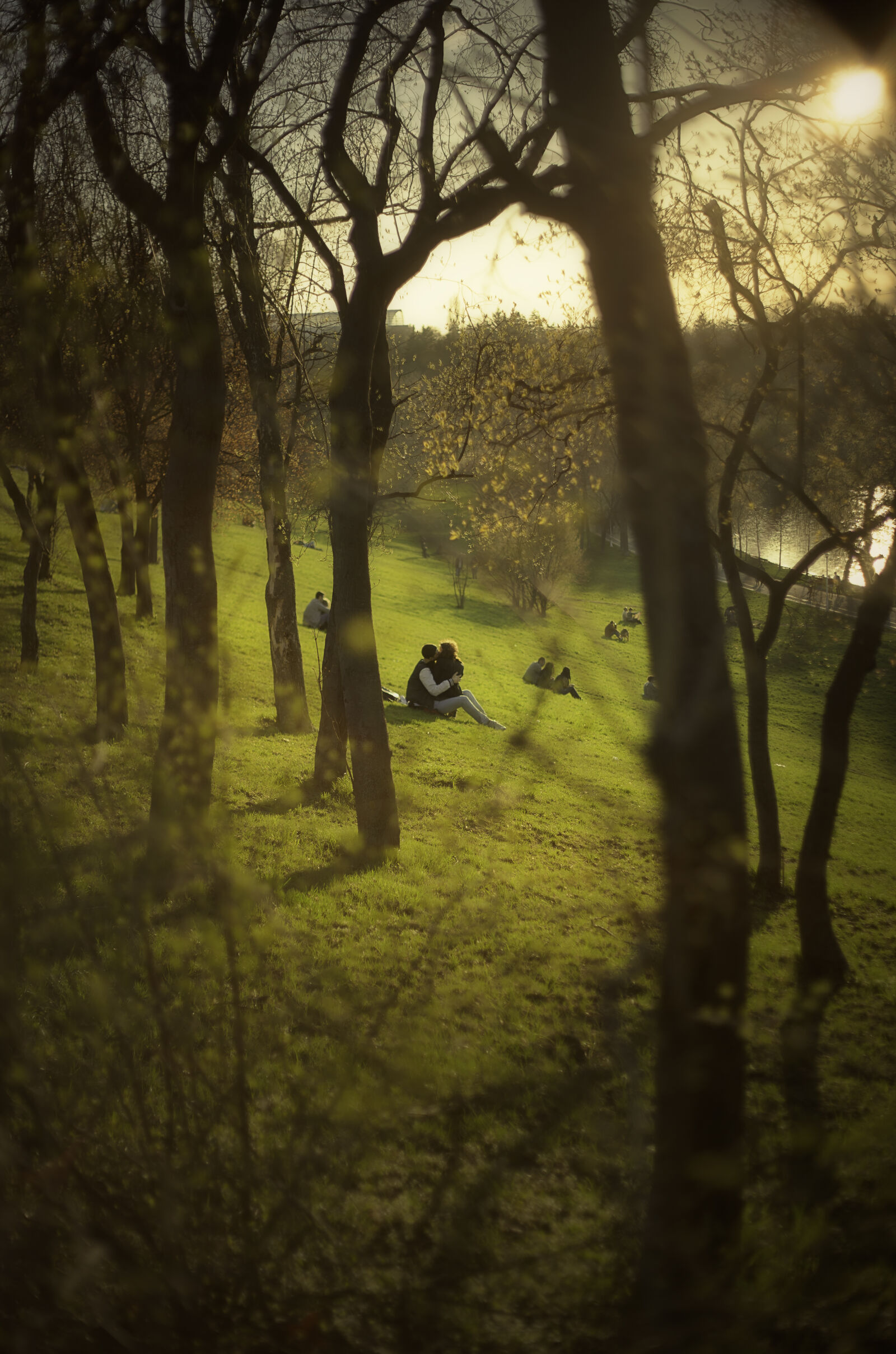 Canon EF 50mm F1.8 II sample photo. Couple, grass, green, hill photography