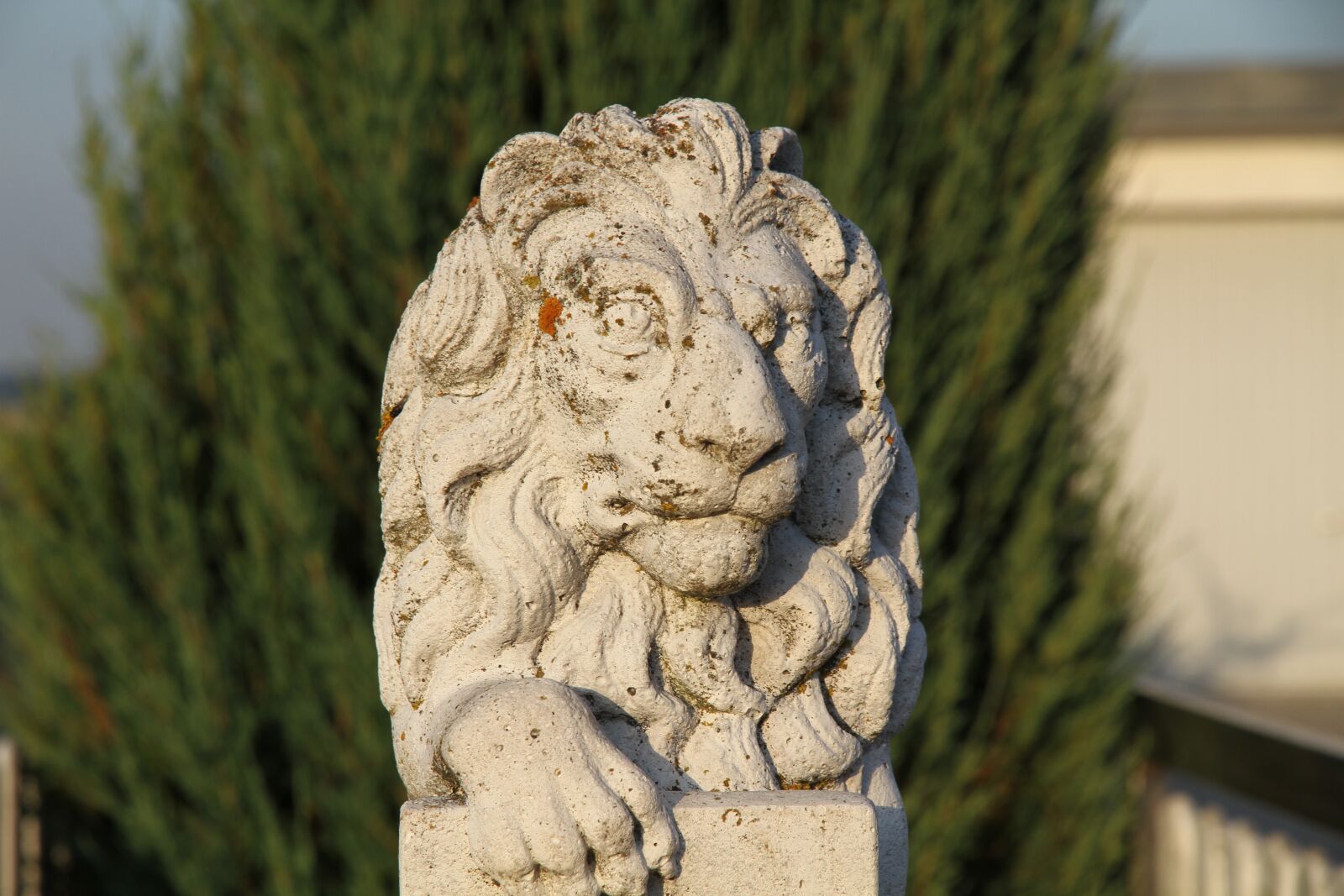 Canon EOS 7D sample photo. Lion, statue, sculpture photography