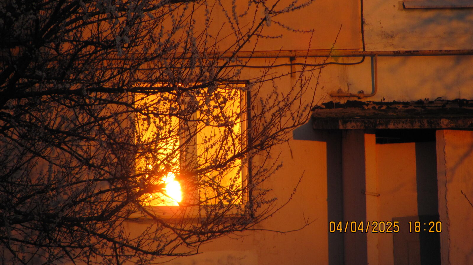 Canon PowerShot SX120 IS sample photo