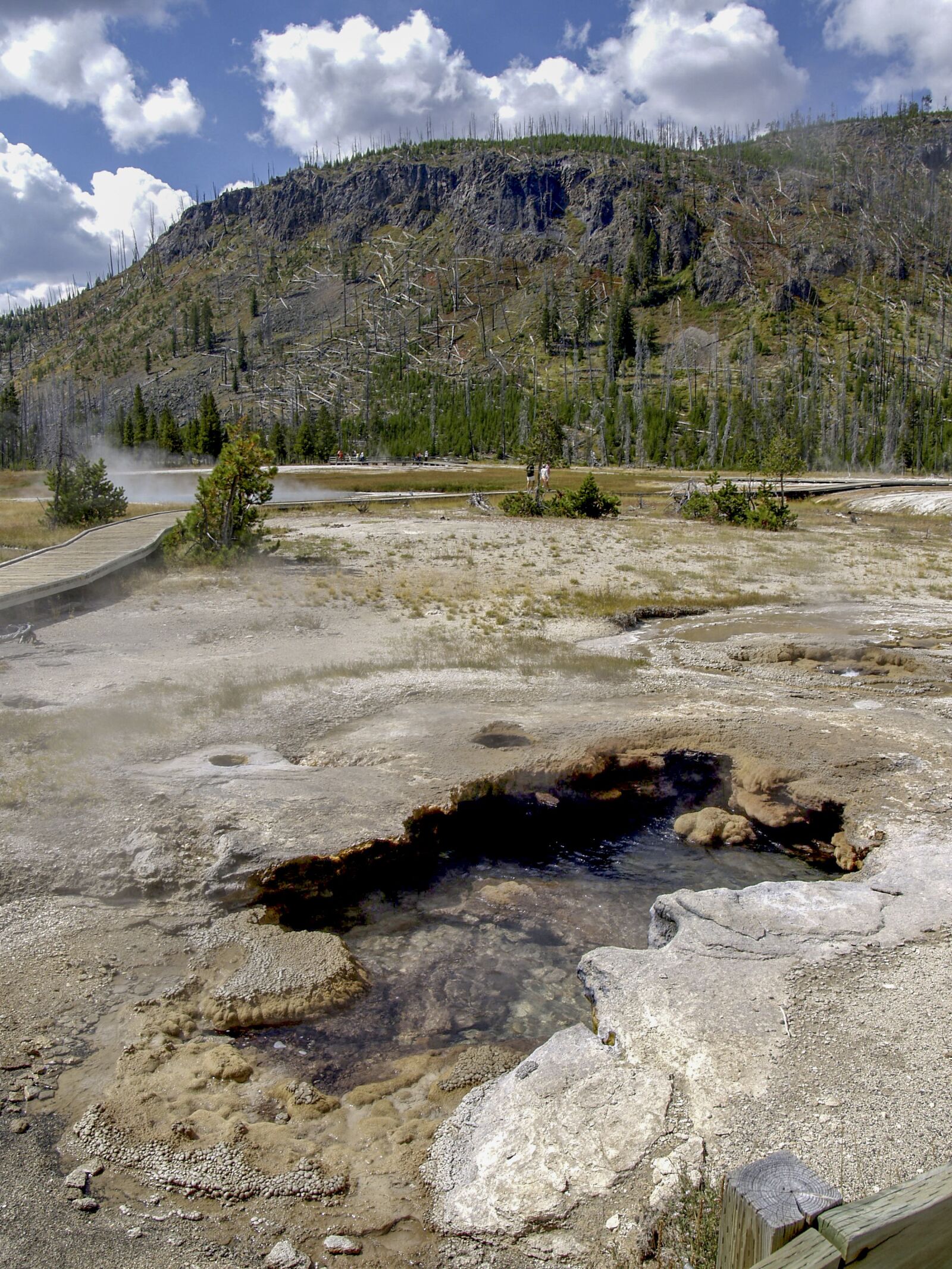 Olympus E-330 (EVOLT E-330) sample photo. Yellowstone, national park, wyoming photography