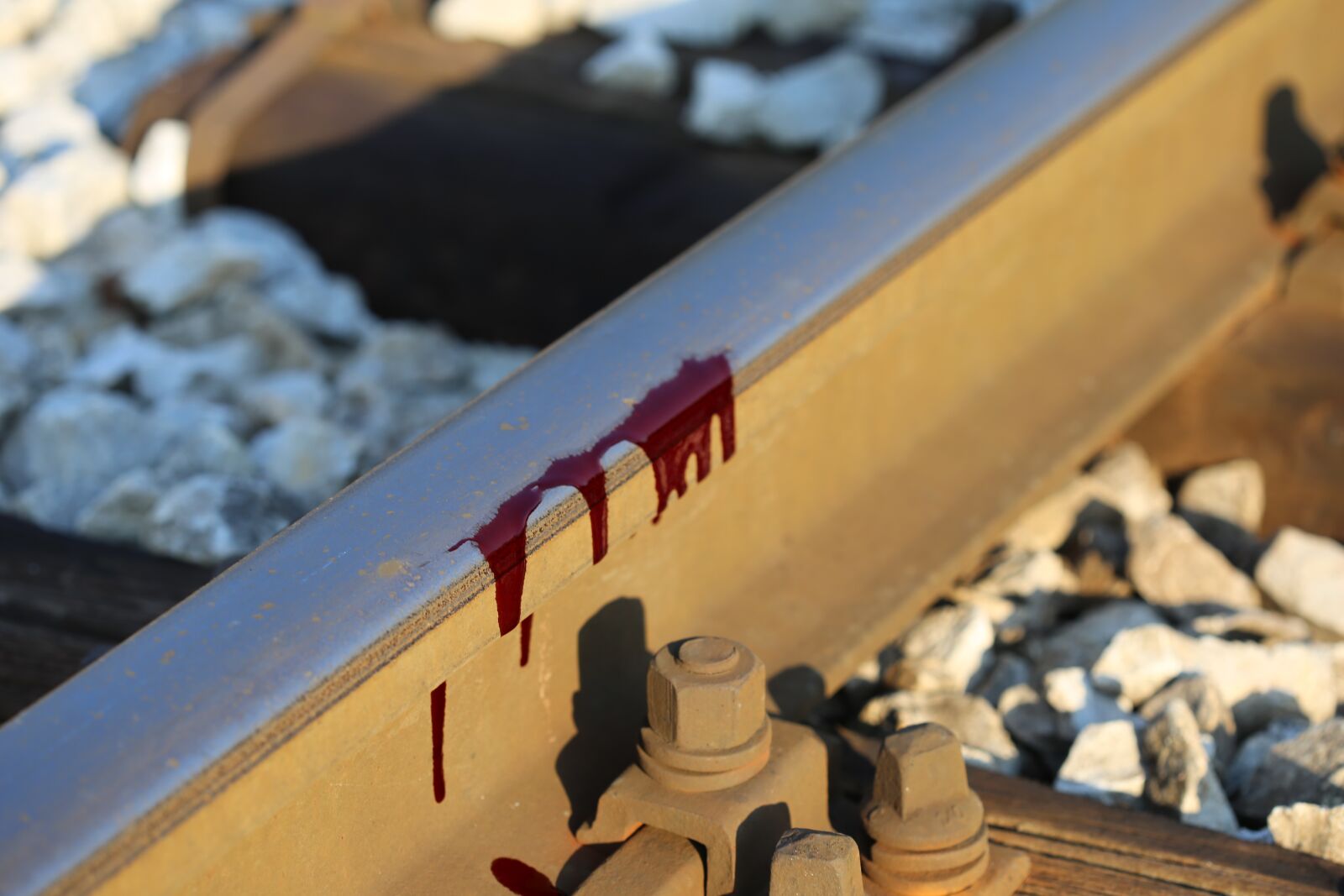 Canon EOS 6D + Canon EF 100mm F2.8 Macro USM sample photo. Bloody rail, stop children photography