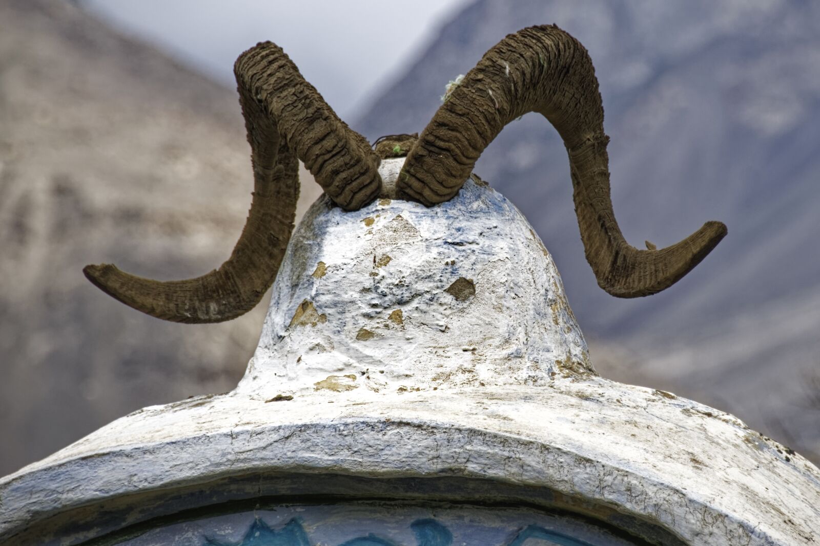 Nikon D500 sample photo. Tajikistan, vrang wall, antler photography