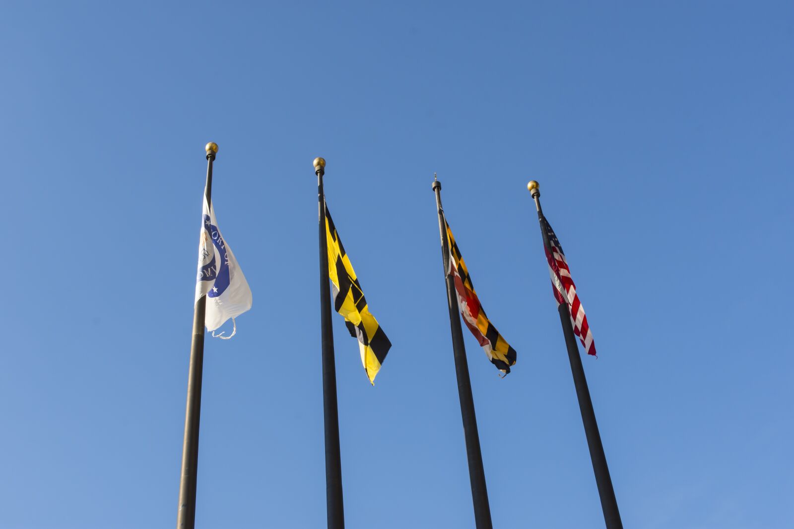 Nikon D7200 sample photo. Flags, poles, maryland photography