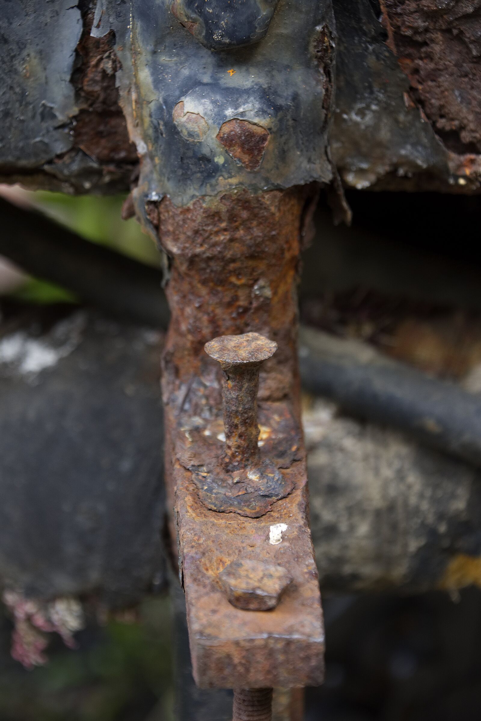 Nikon D7200 sample photo. Oxide, train, metal photography