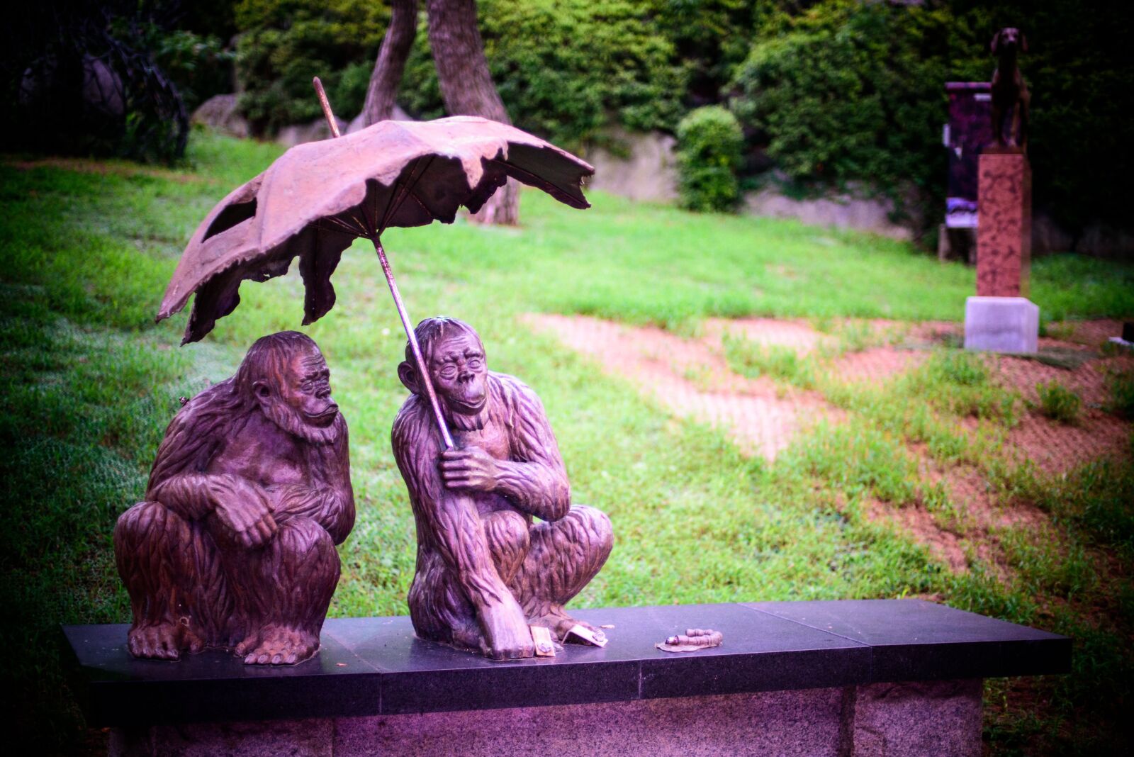 Nikon D750 sample photo. Monkey, together, park photography