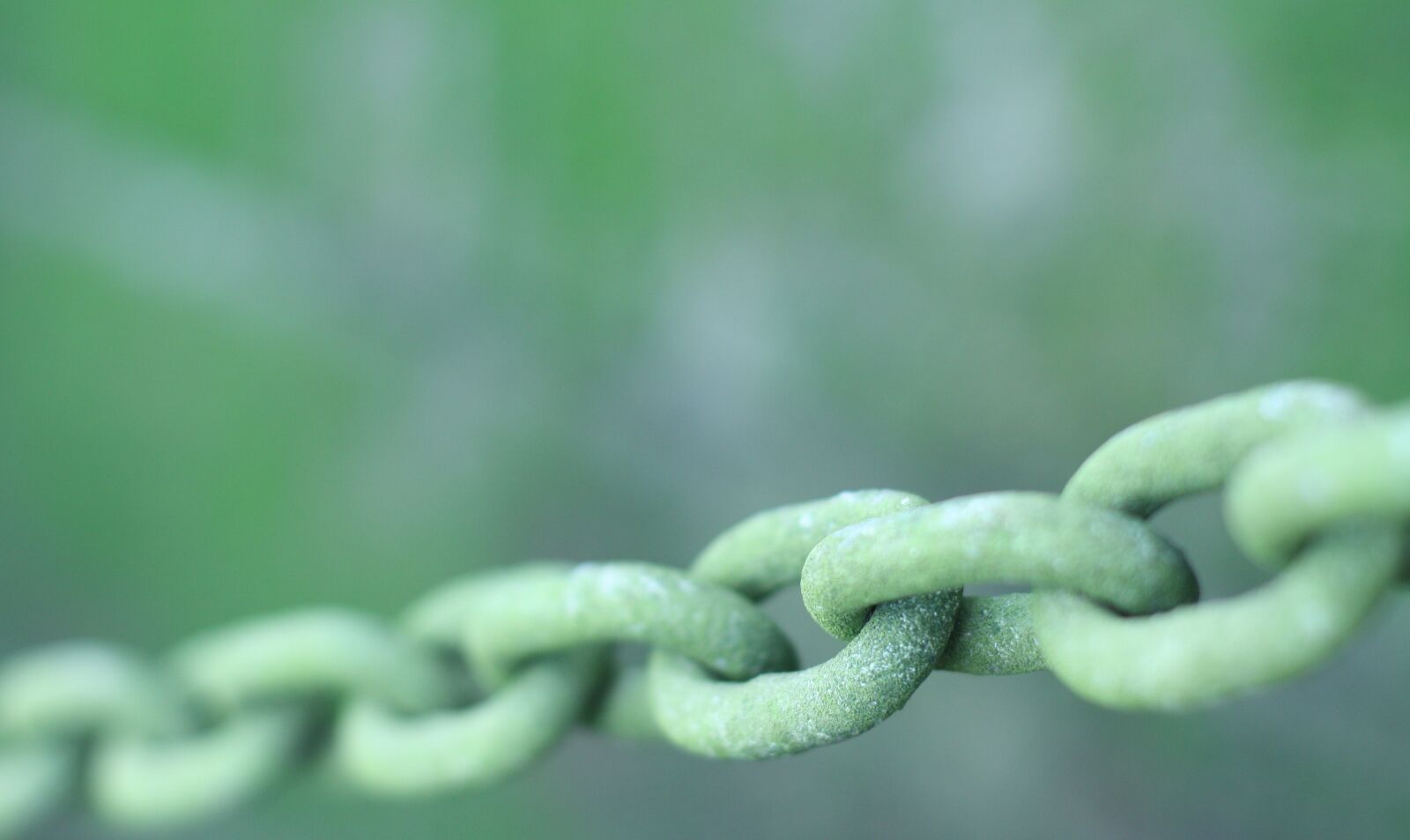 Canon EOS 450D (EOS Rebel XSi / EOS Kiss X2) sample photo. Chains, link, green photography