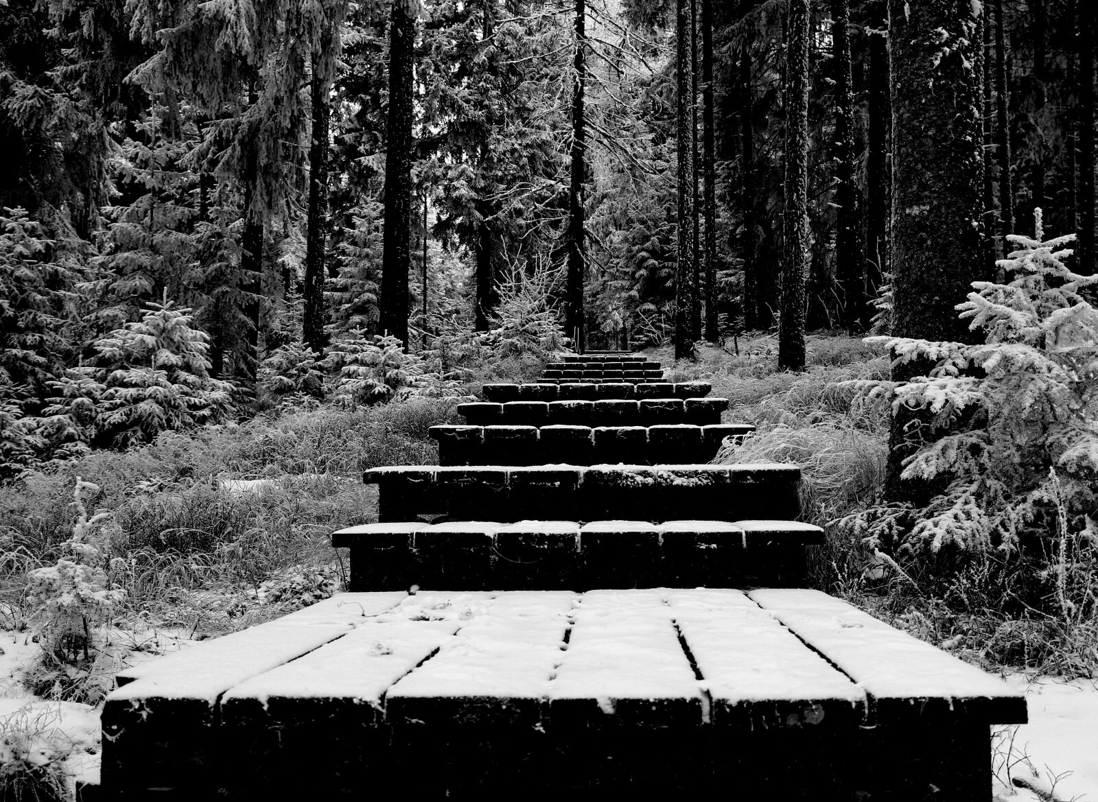Canon EOS 60D sample photo. Stifen, snow, forest photography