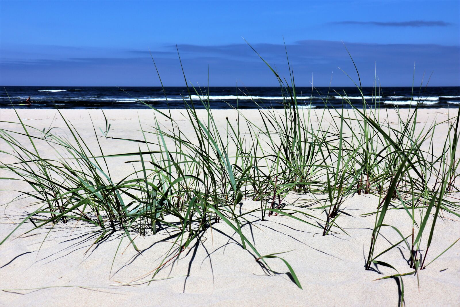Canon EOS M6 sample photo. Weekend, beach, the baltic photography