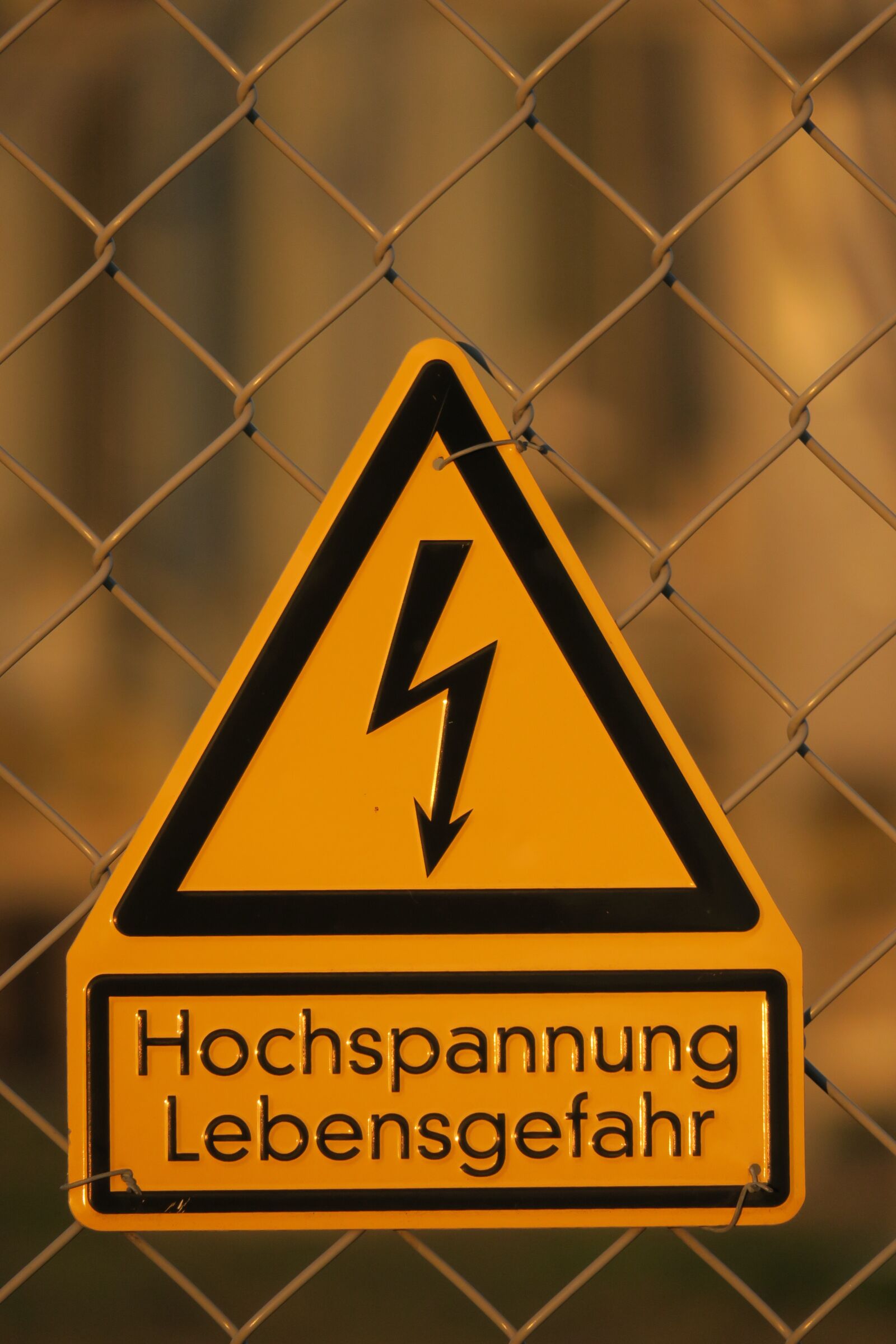Canon PowerShot G3 X sample photo. High voltage, danger of photography