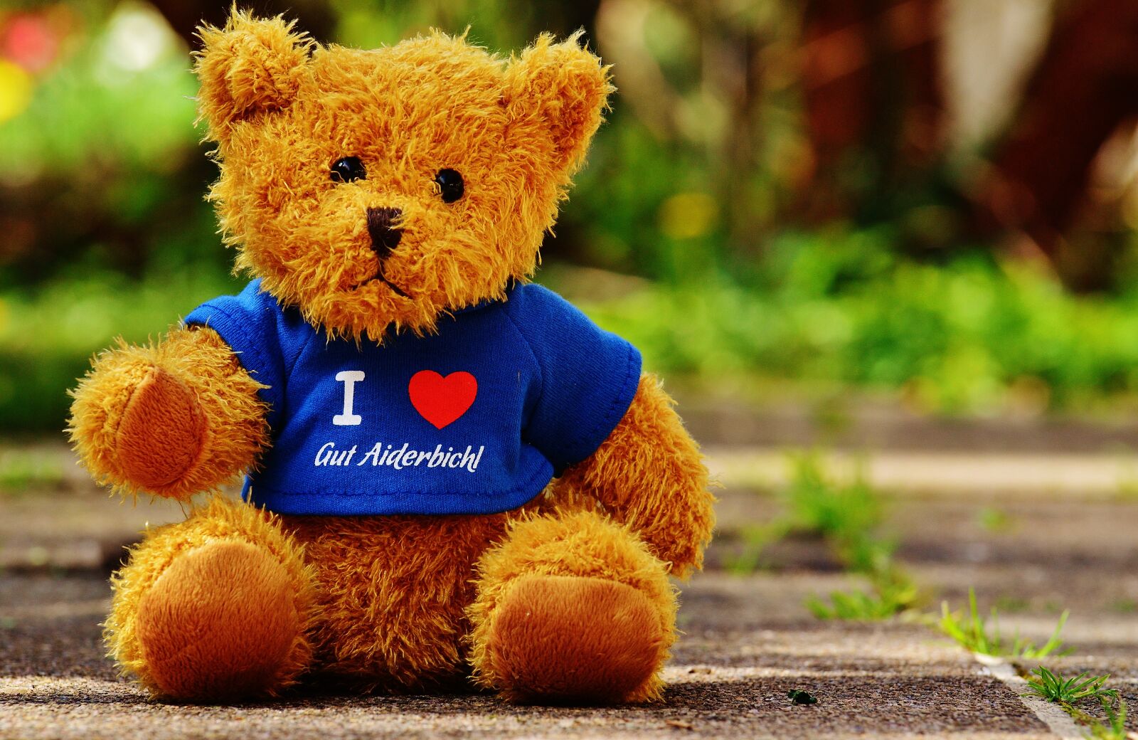 Nikon D3200 sample photo. Teddy, good aiderbichl, sanctuary photography