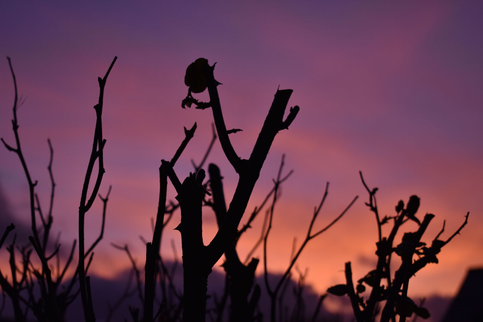 Nikon D3400 sample photo. Landscape, nature, sky photography