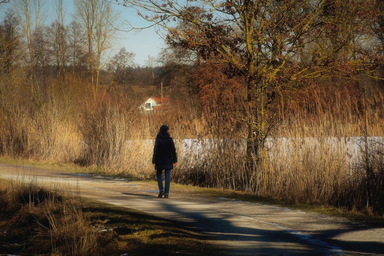 Nikon D7200 sample photo. Woman, walk, winter photography