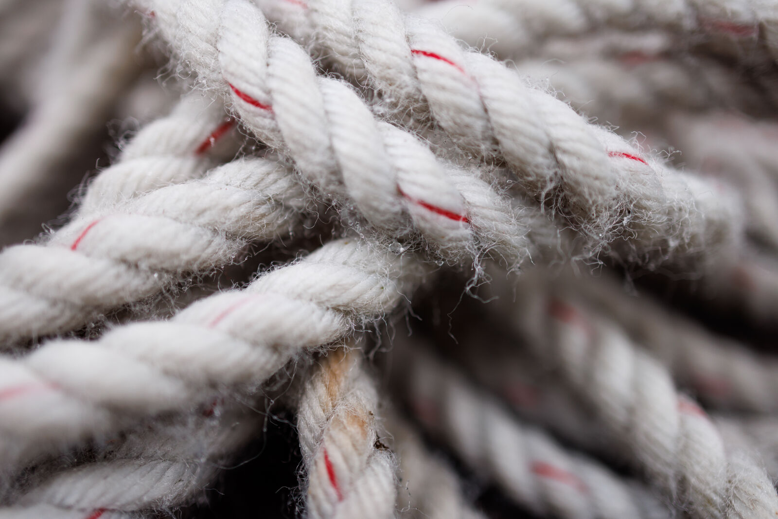 Canon EOS R5 + Canon RF 24mm F1.8 Macro IS STM sample photo. Old rope photography