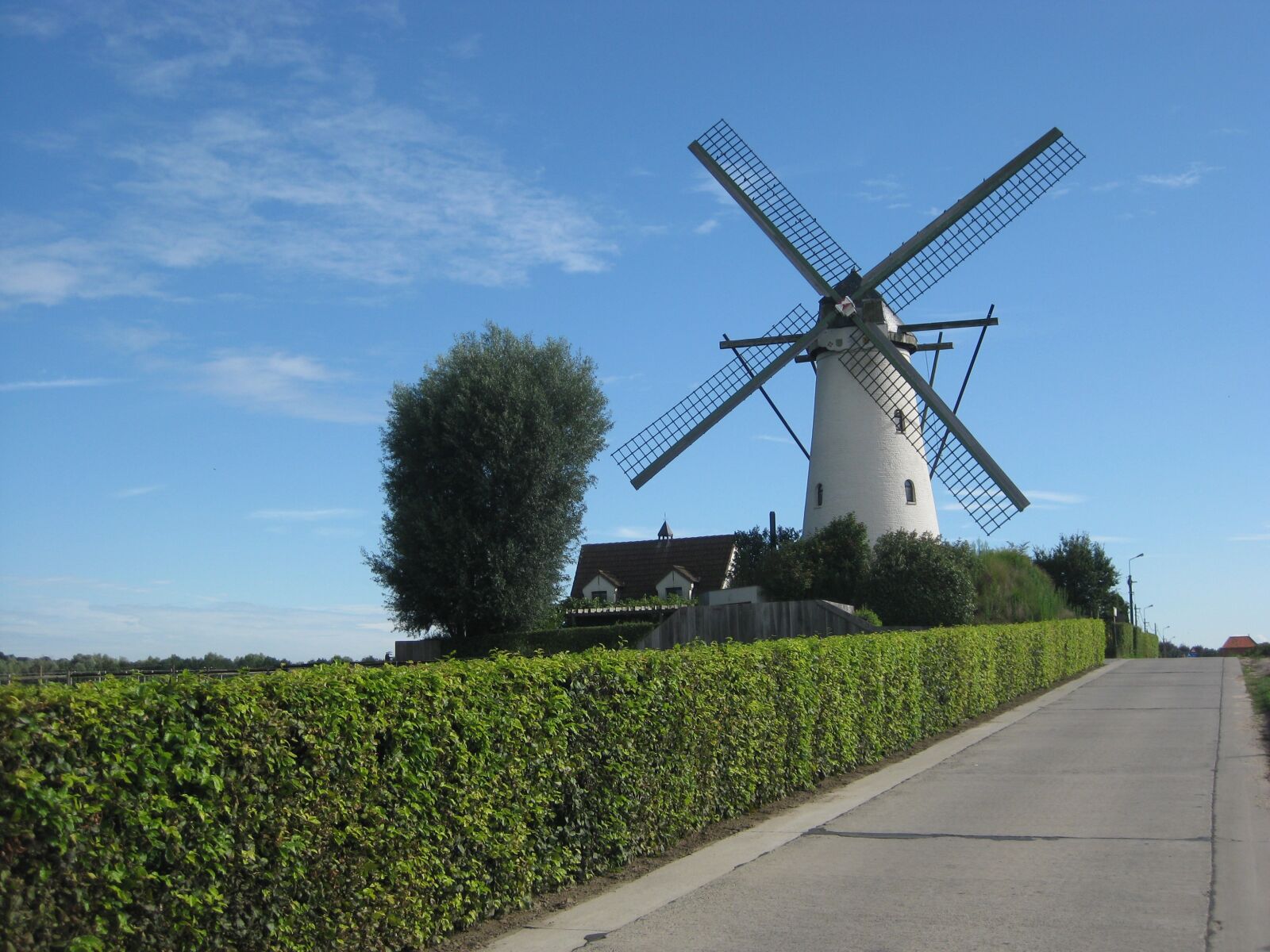 Canon PowerShot SD1100 IS (Digital IXUS 80 IS / IXY Digital 20 IS) sample photo. Wind mill, summer, landscape photography