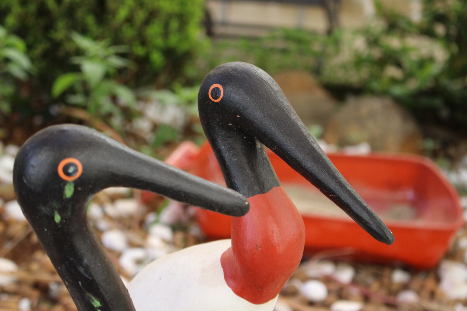 Canon EOS 700D (EOS Rebel T5i / EOS Kiss X7i) sample photo. Focus, garden, sowers photography