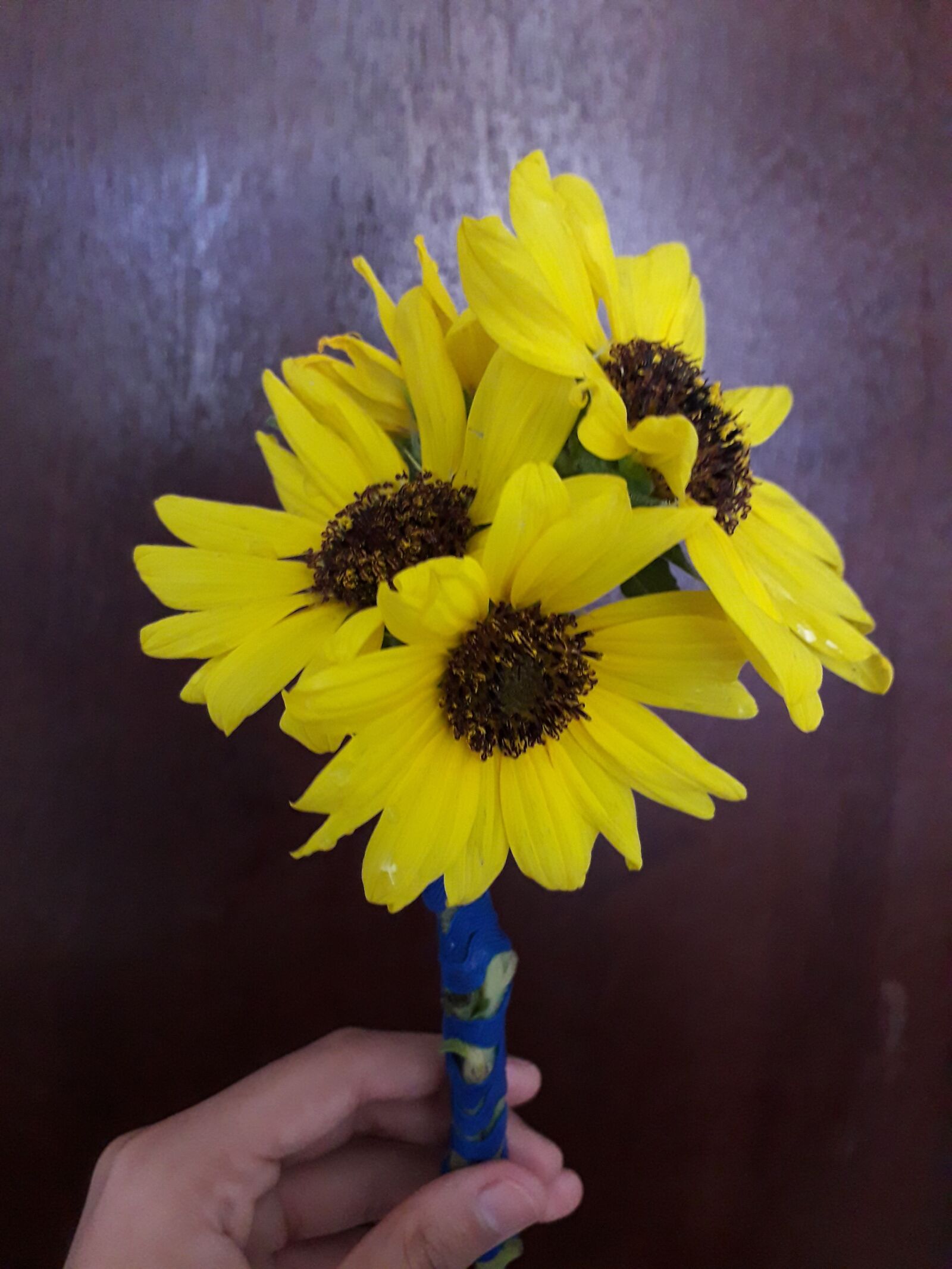 Samsung Galaxy J6 sample photo. Girasol, amarillo, flor photography