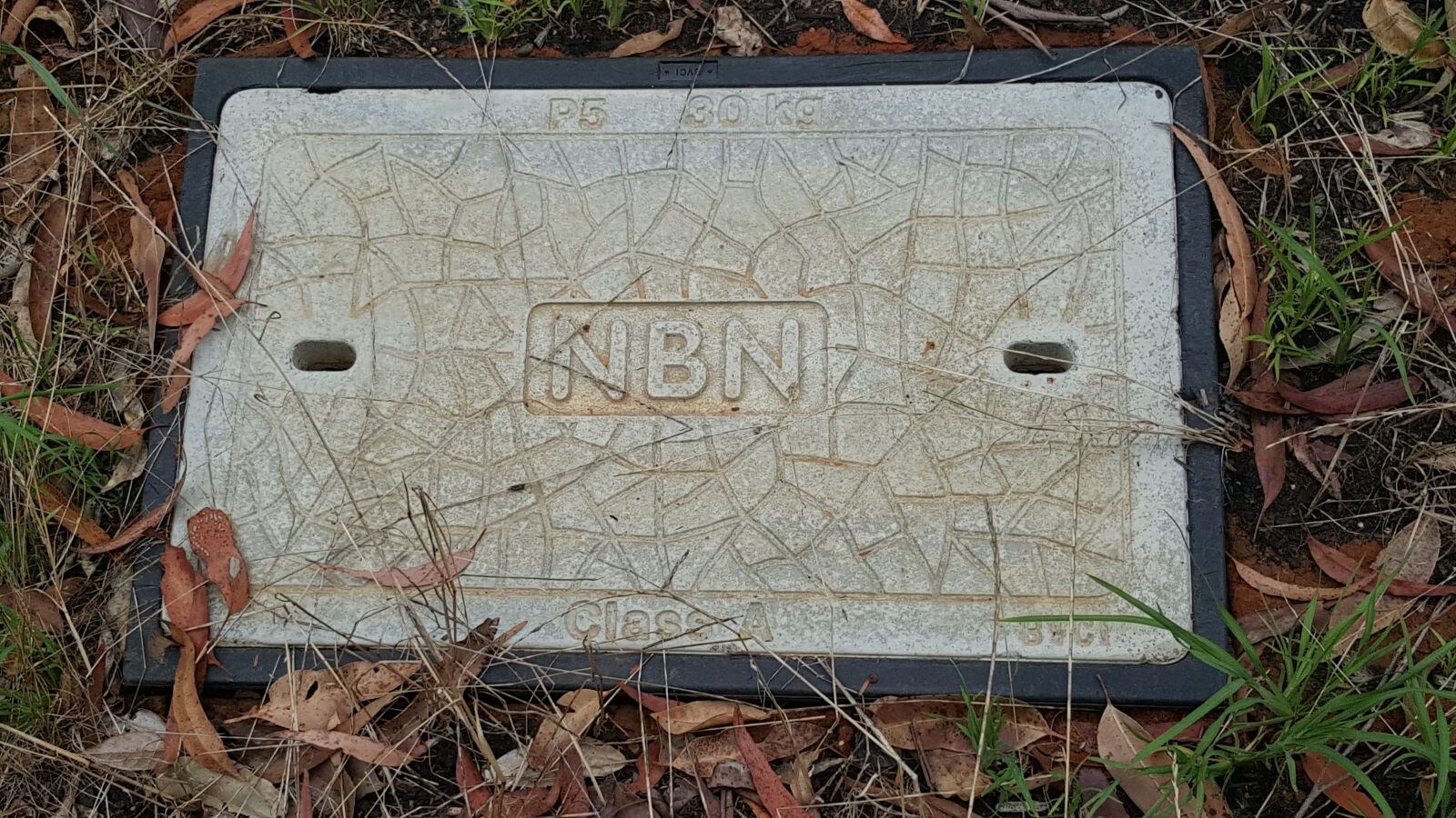 Samsung GALAXY S6 edge sample photo. Nbn, no, bloody, network photography