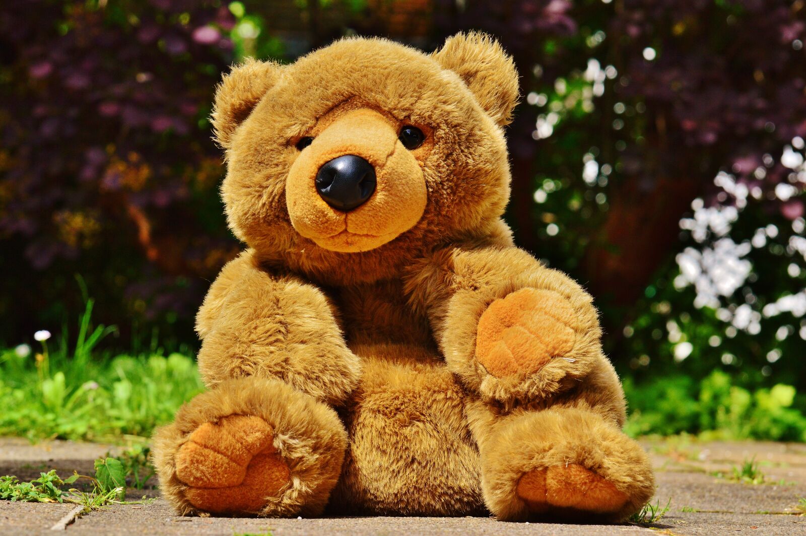 Nikon D3200 sample photo. Teddy, plush, toys photography