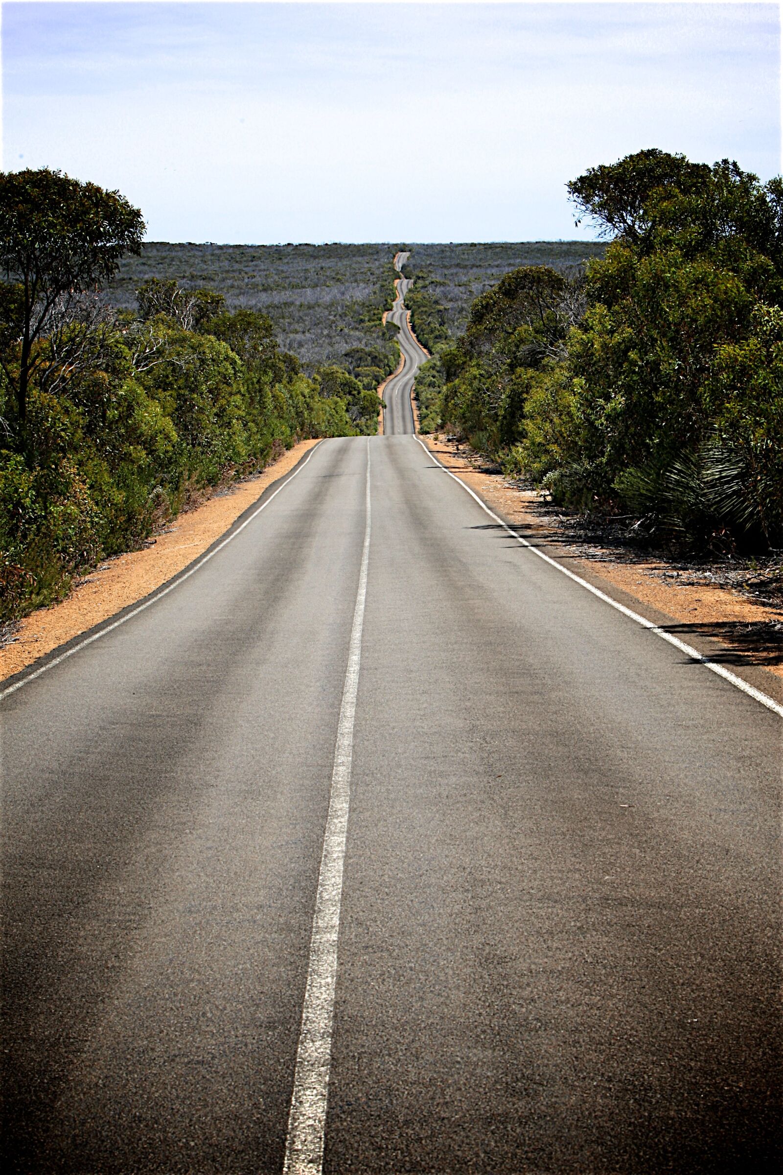 Canon EOS-1D Mark III sample photo. Road, pavement, scenery photography