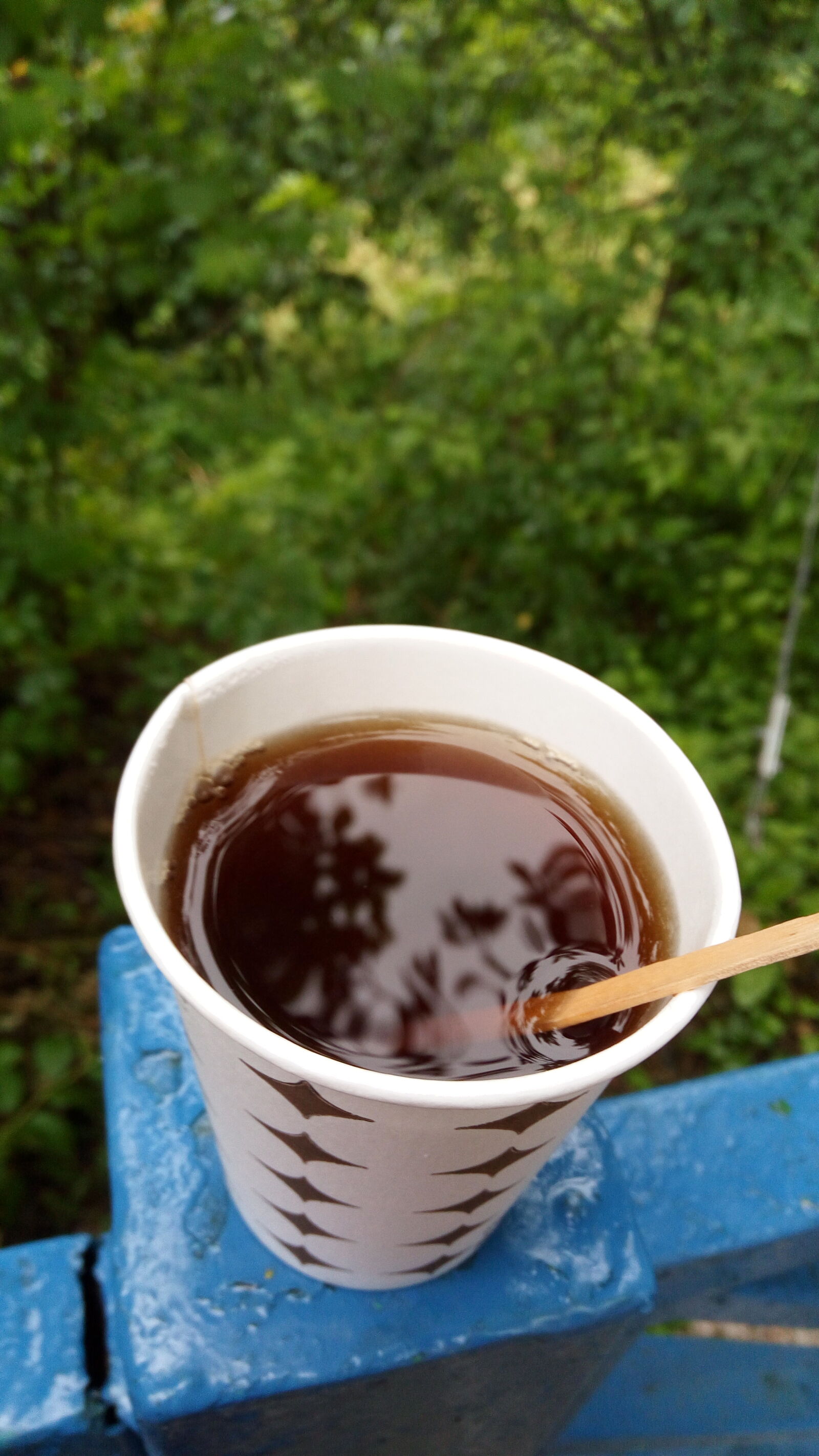 Lenovo VIBE X3 LITE sample photo. Forest, tea photography