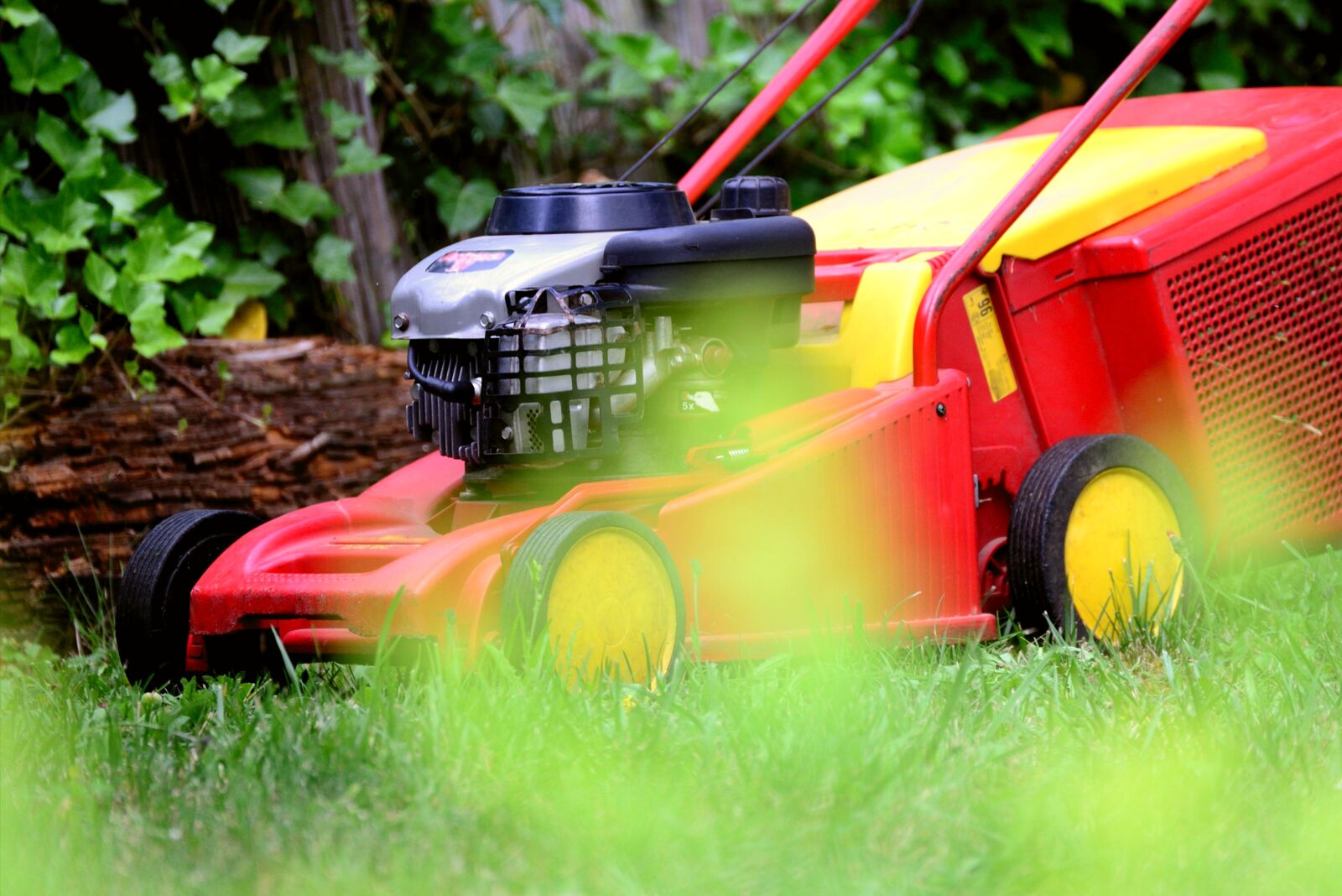 Nikon D610 sample photo. Lawn mower, mow, gardening photography