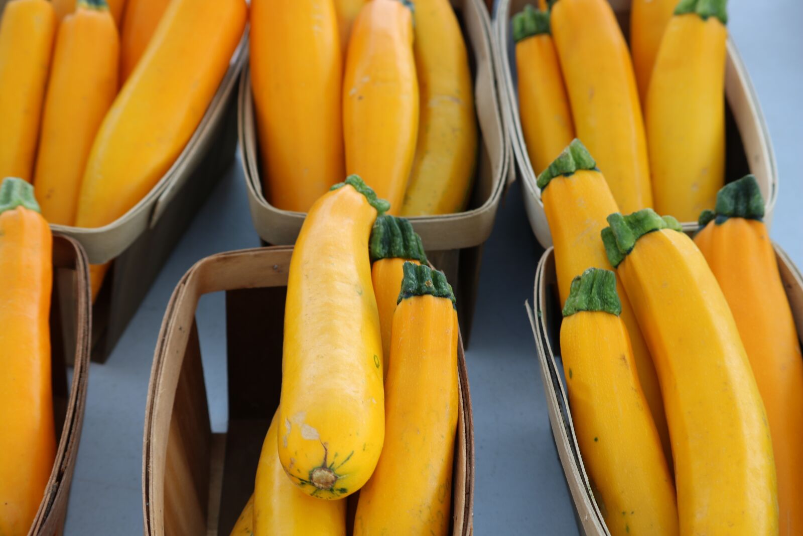 Canon EOS 750D (EOS Rebel T6i / EOS Kiss X8i) sample photo. Vegetable, zucchini, organic photography