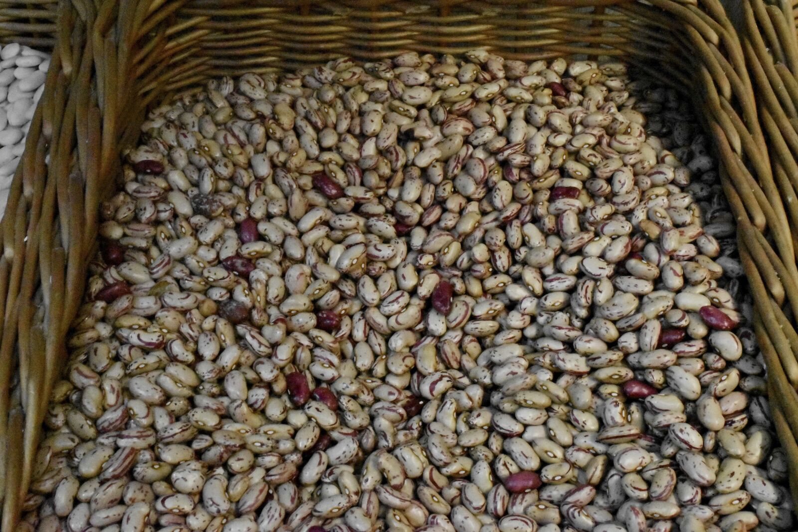 Nikon D5500 sample photo. Seed, vegetable, food, bean photography
