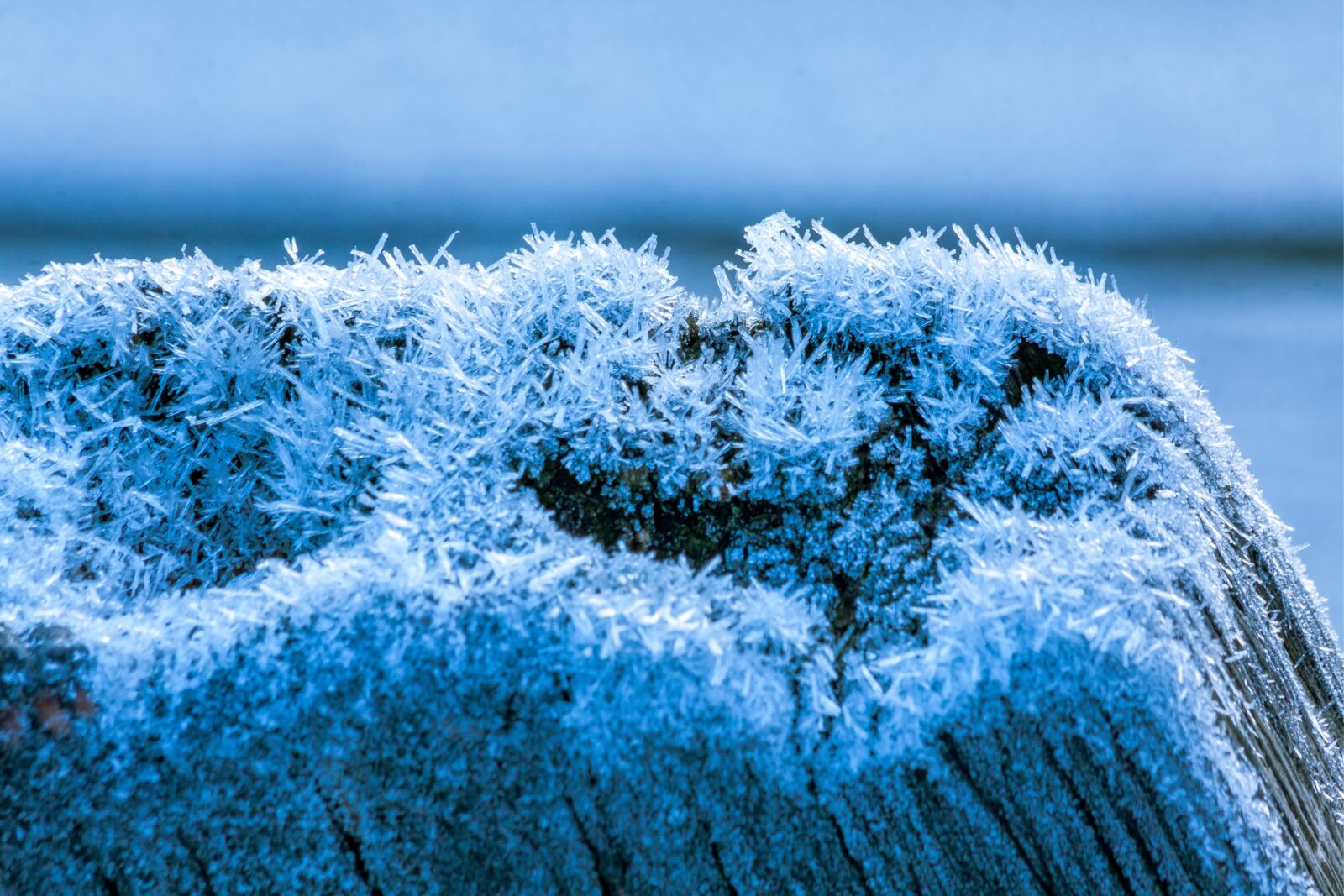 Canon EOS 50D + Canon EF 70-300mm F4-5.6 IS USM sample photo. Hoarfrost, frost, ice photography