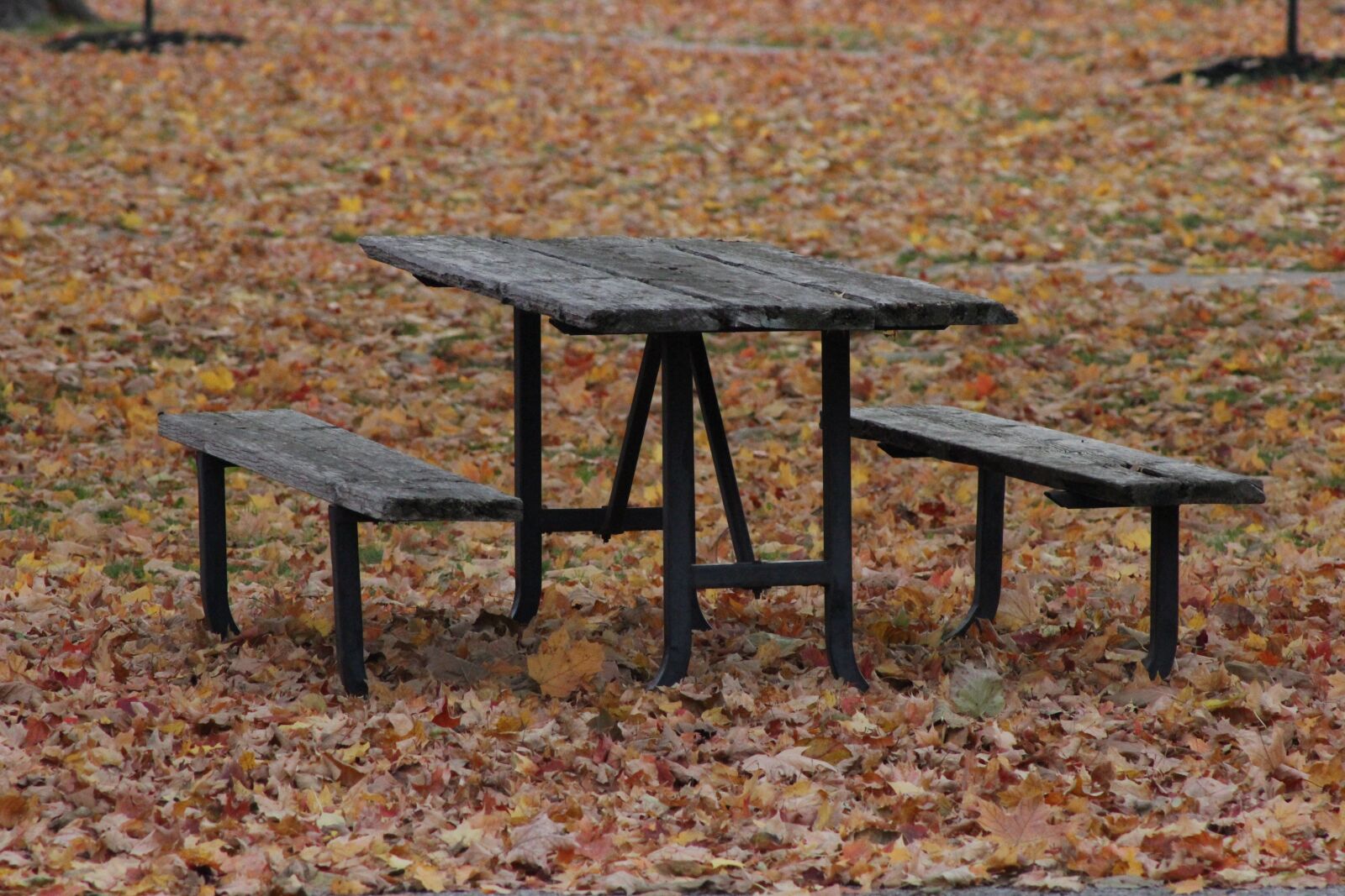 Canon EF 75-300mm f/4-5.6 sample photo. Bench, fall, nature photography