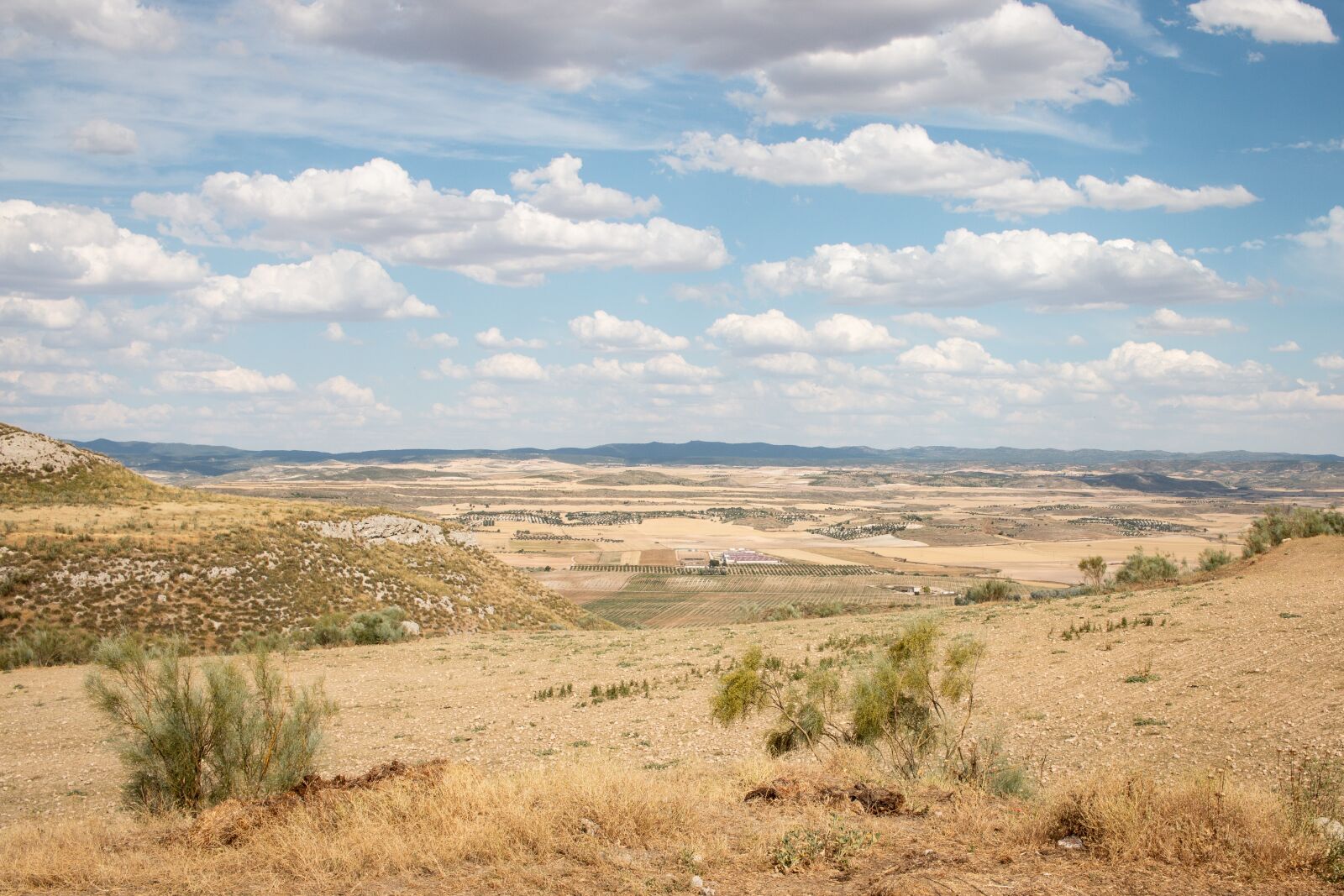 Canon EF-S 24mm F2.8 STM sample photo. Nature, brown, landscape photography