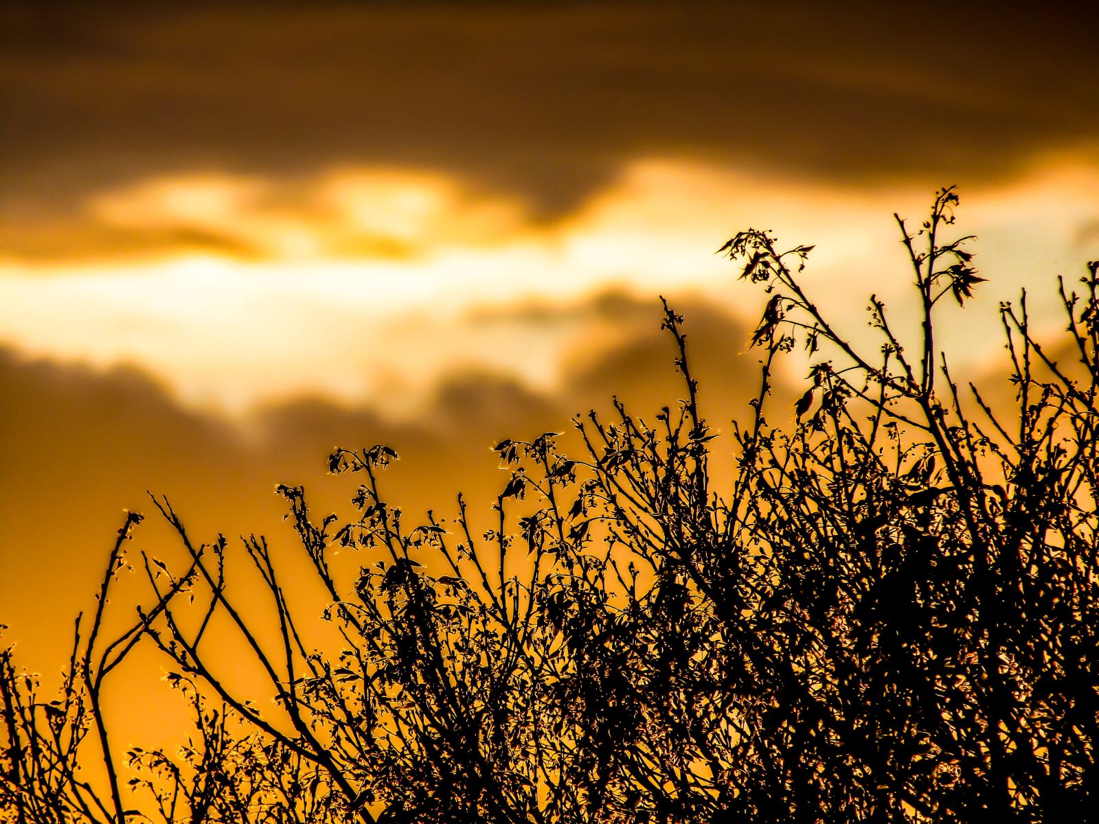Canon PowerShot SX410 IS sample photo. Sunset, dawn, nature photography