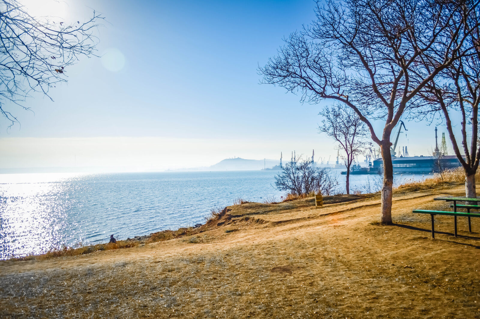 Nikon D3200 sample photo. Autumn, azov, leaves, mitridat photography