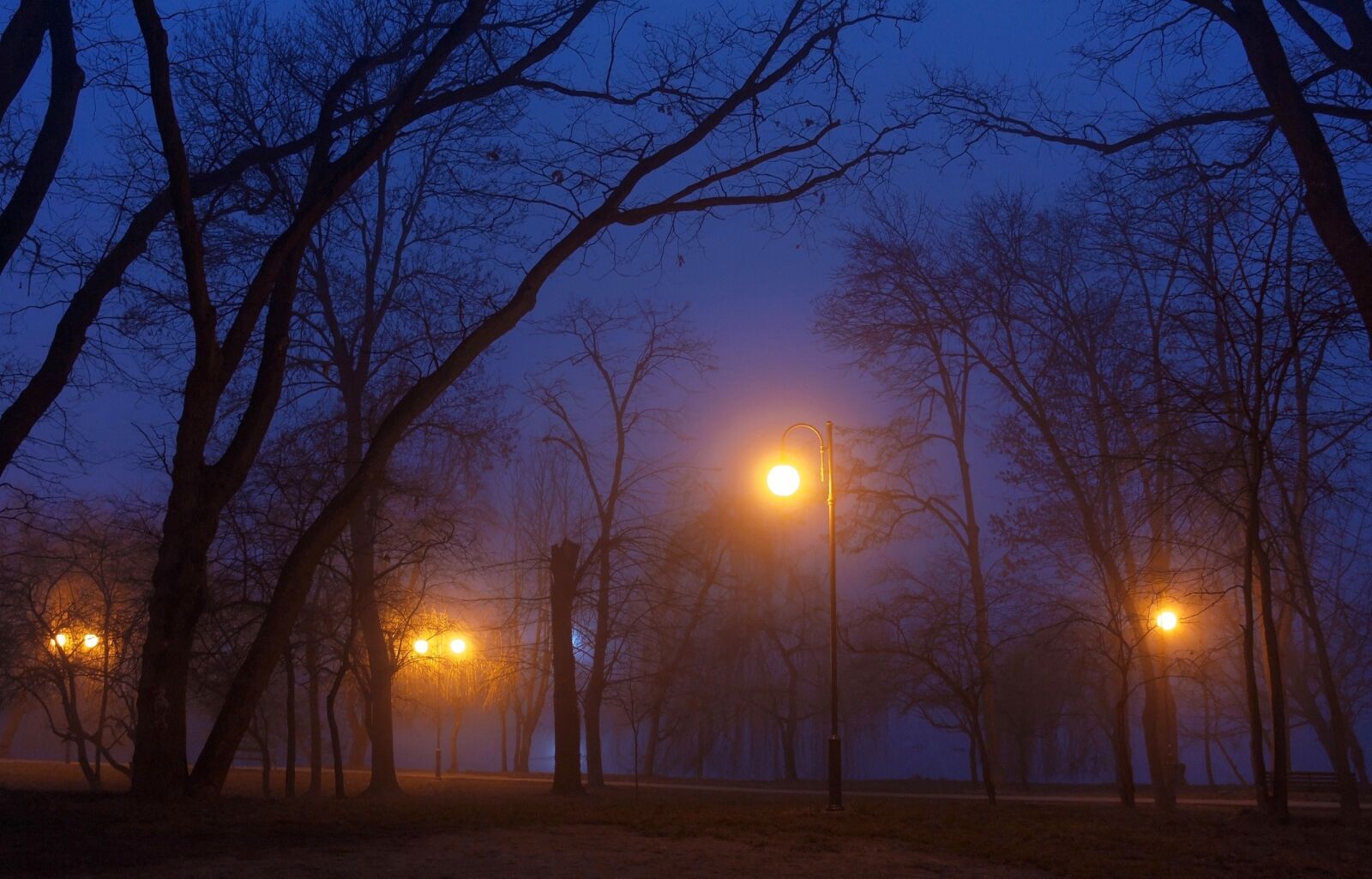 Canon EOS 60D sample photo. Park, winter, fog photography