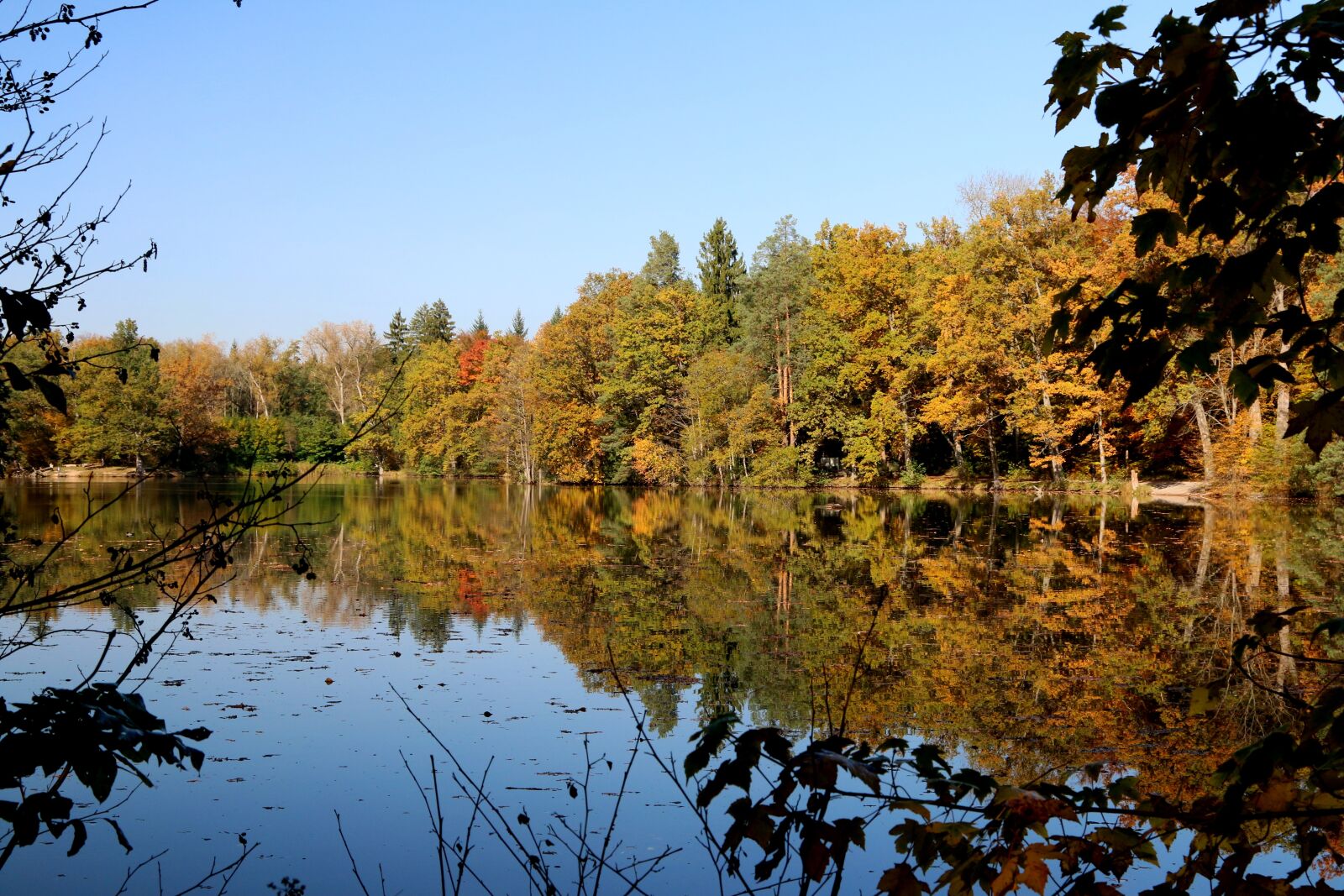 Canon EOS 70D + Canon EF 24-105mm F4L IS USM sample photo. Stuttgart, pfaffenteich lake, bear photography