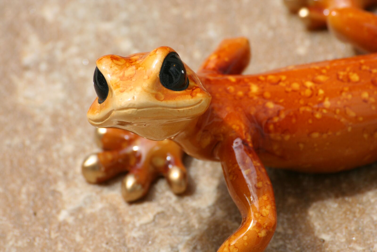 Canon EOS 350D (EOS Digital Rebel XT / EOS Kiss Digital N) sample photo. Gecko, lizard, cheeky photography