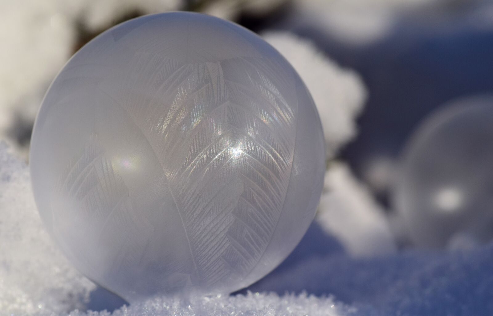 Nikon D3300 sample photo. Soap bubble, frosted, bubble photography