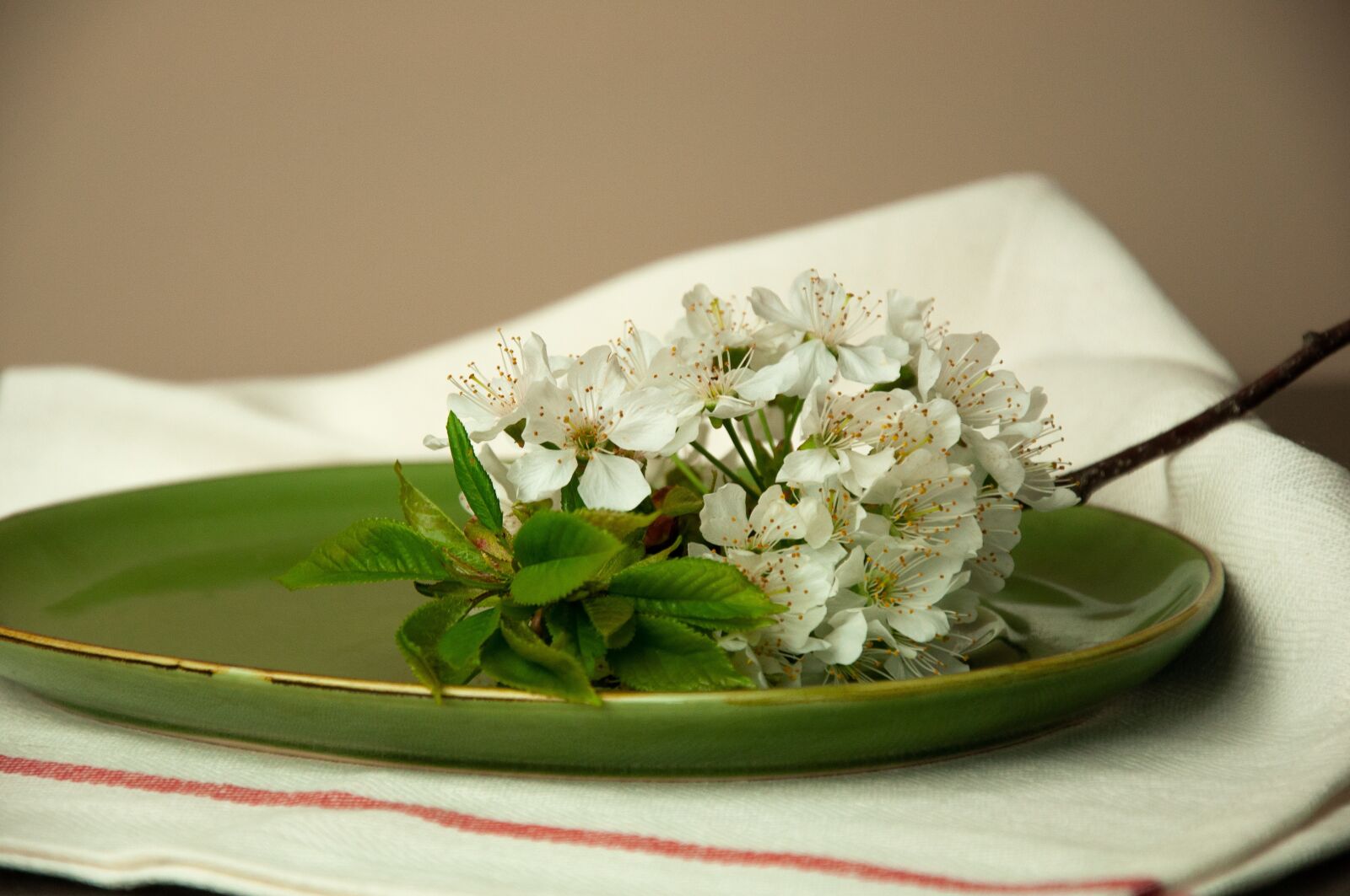 Nikon D90 sample photo. Flowers, green, spring photography