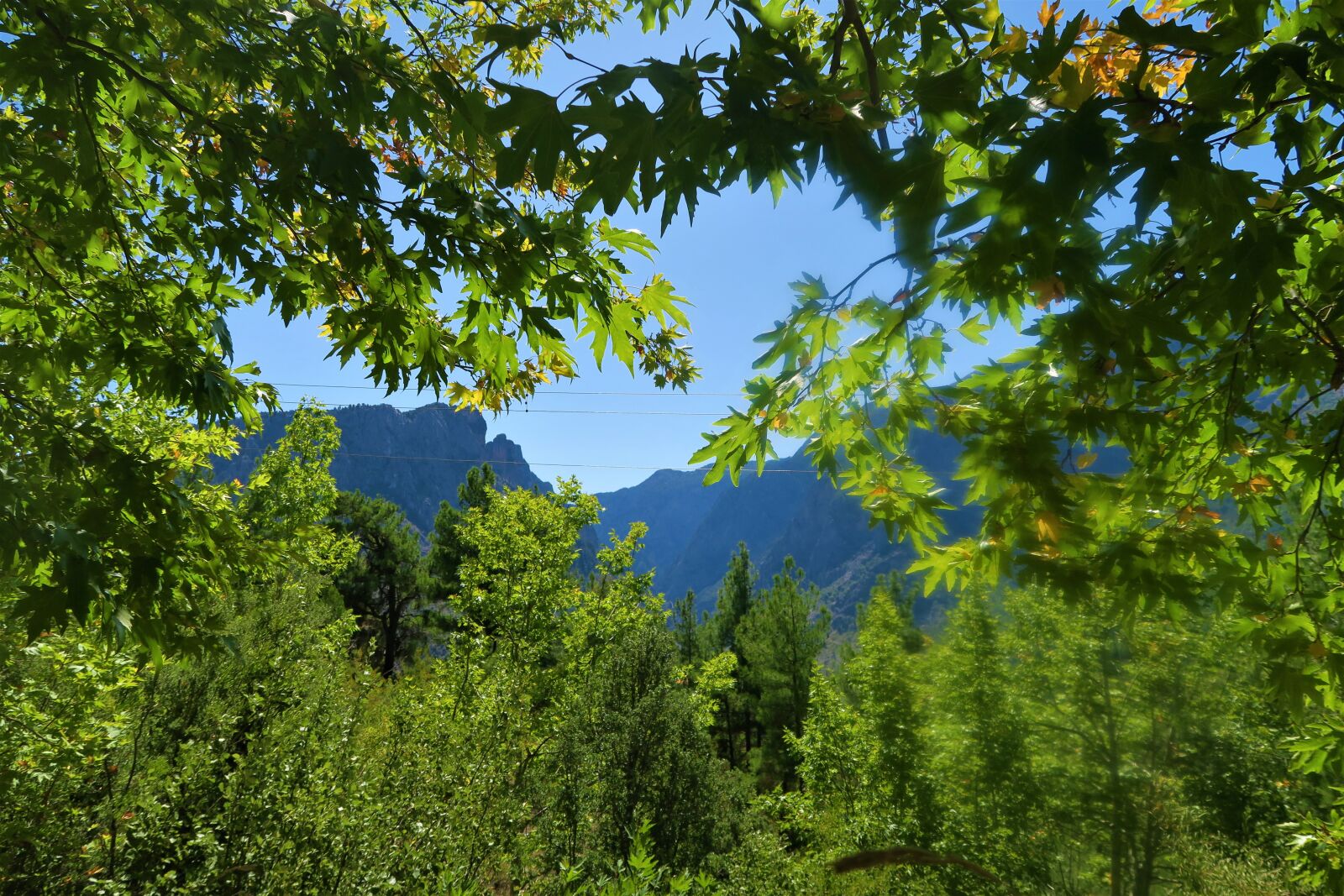 Canon PowerShot G7 X sample photo. Mountains, forest, trees photography