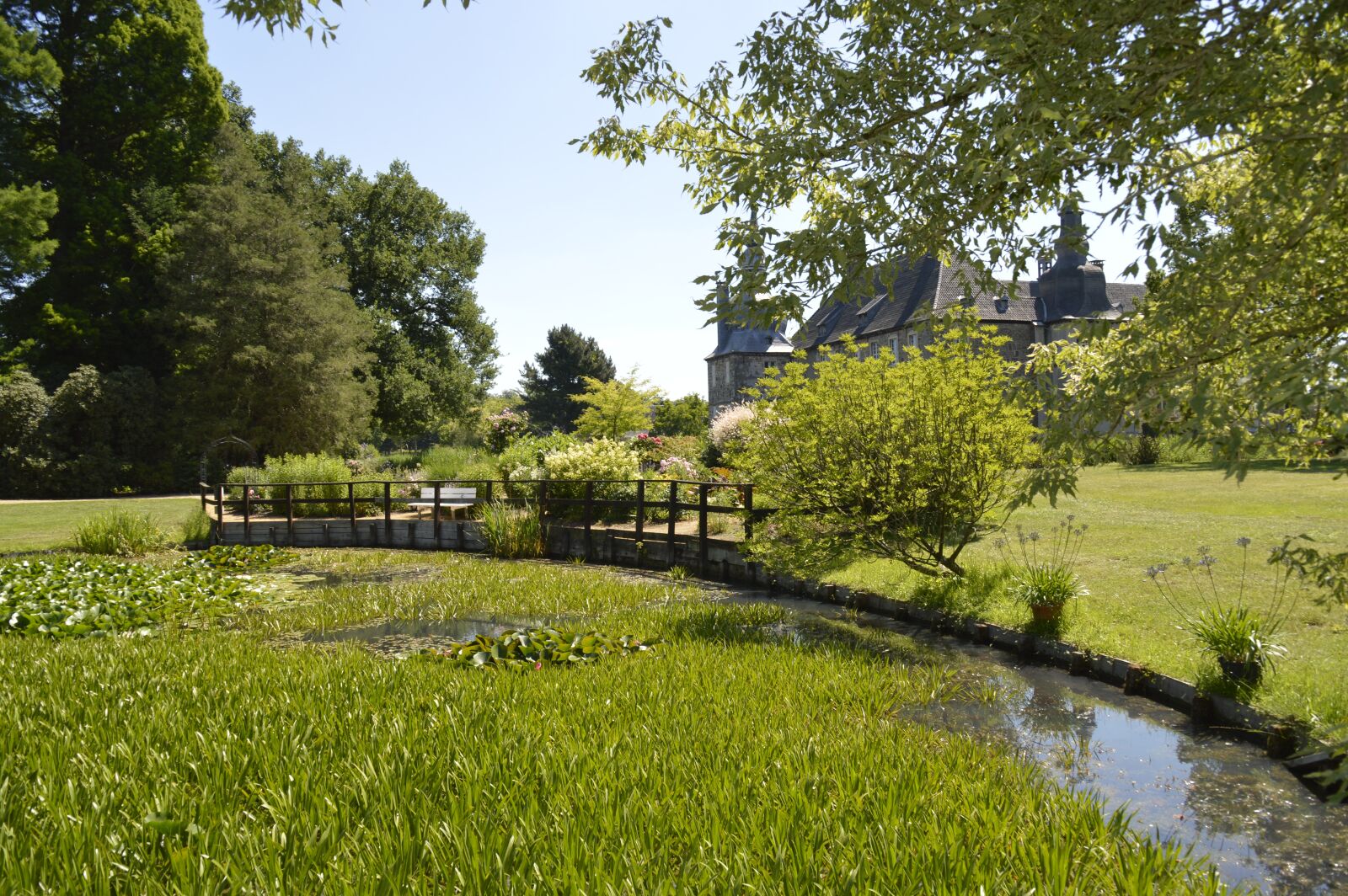 Nikon D3200 sample photo. Bach, meadow, trees photography