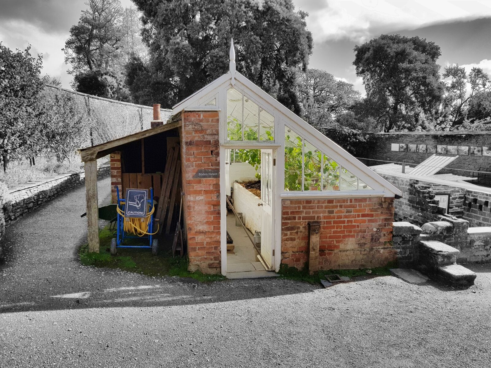 Samsung Galaxy S8 sample photo. Greenhouse, garden, black color photography