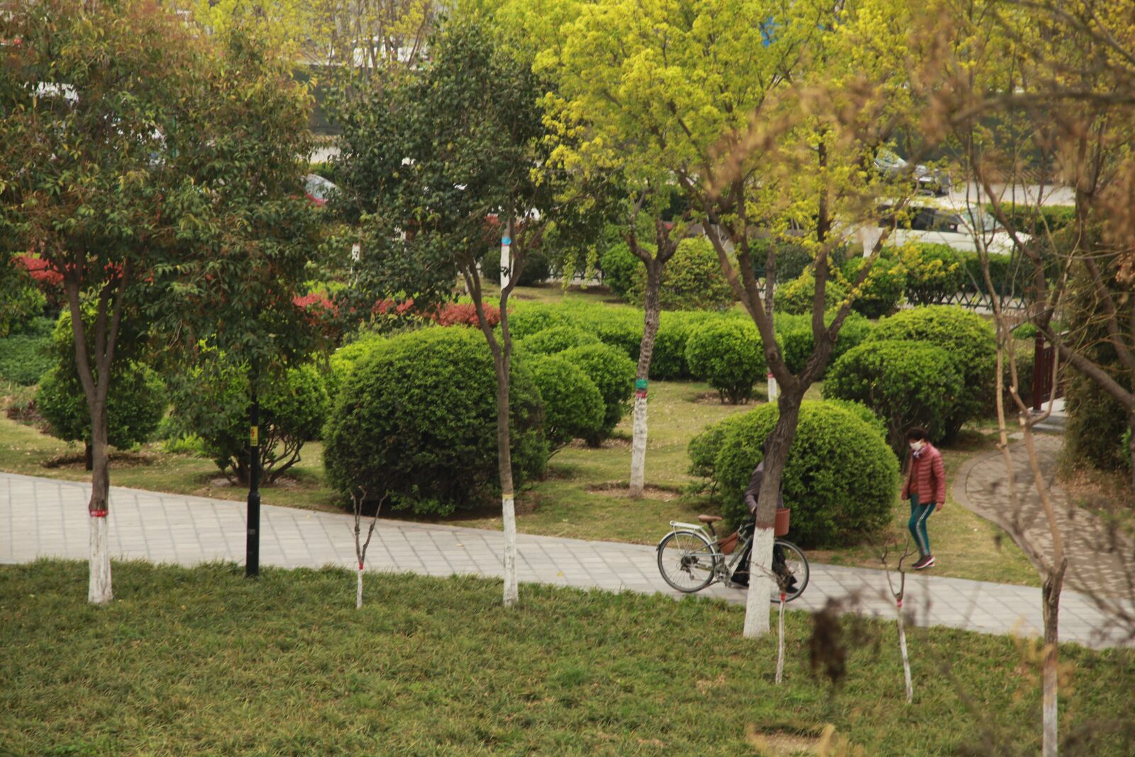 Canon EOS 5D Mark II sample photo. City park, chinese new photography
