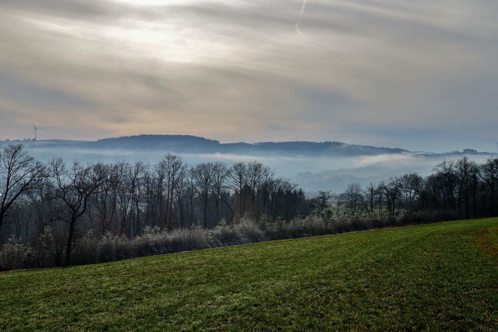 Nikon D600 sample photo. Landscape, mist, fog photography