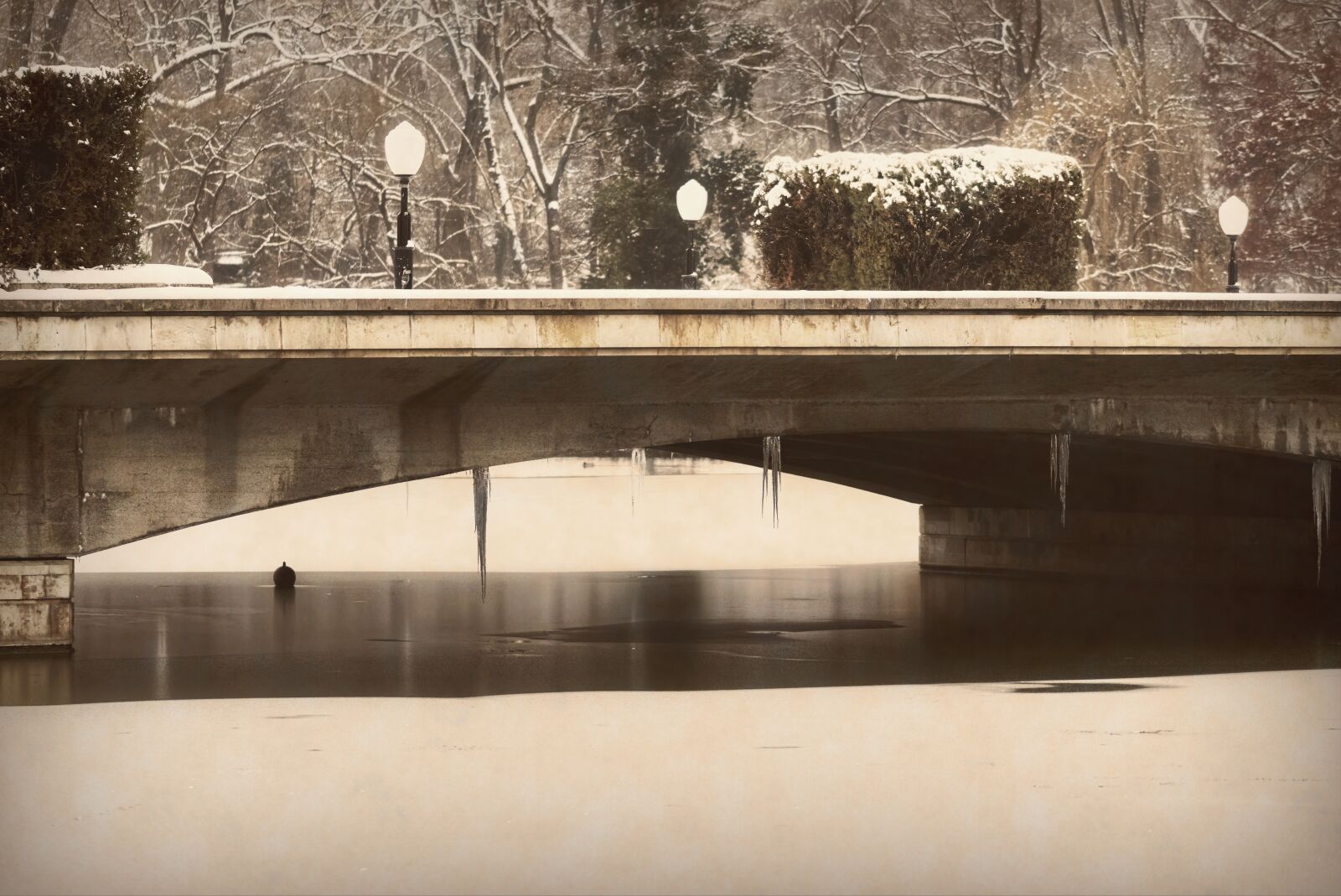 Nikon D5300 sample photo. Landscape, winter, park photography