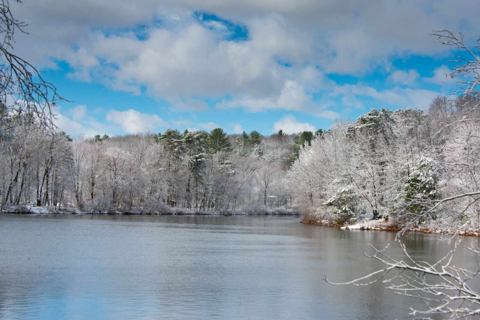 Nikon D800 sample photo. Lake, trees, snow photography
