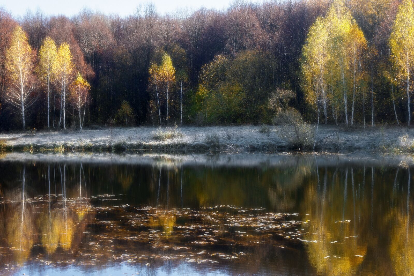 Canon EOS 550D (EOS Rebel T2i / EOS Kiss X4) sample photo. Autumn, nature, landscape photography